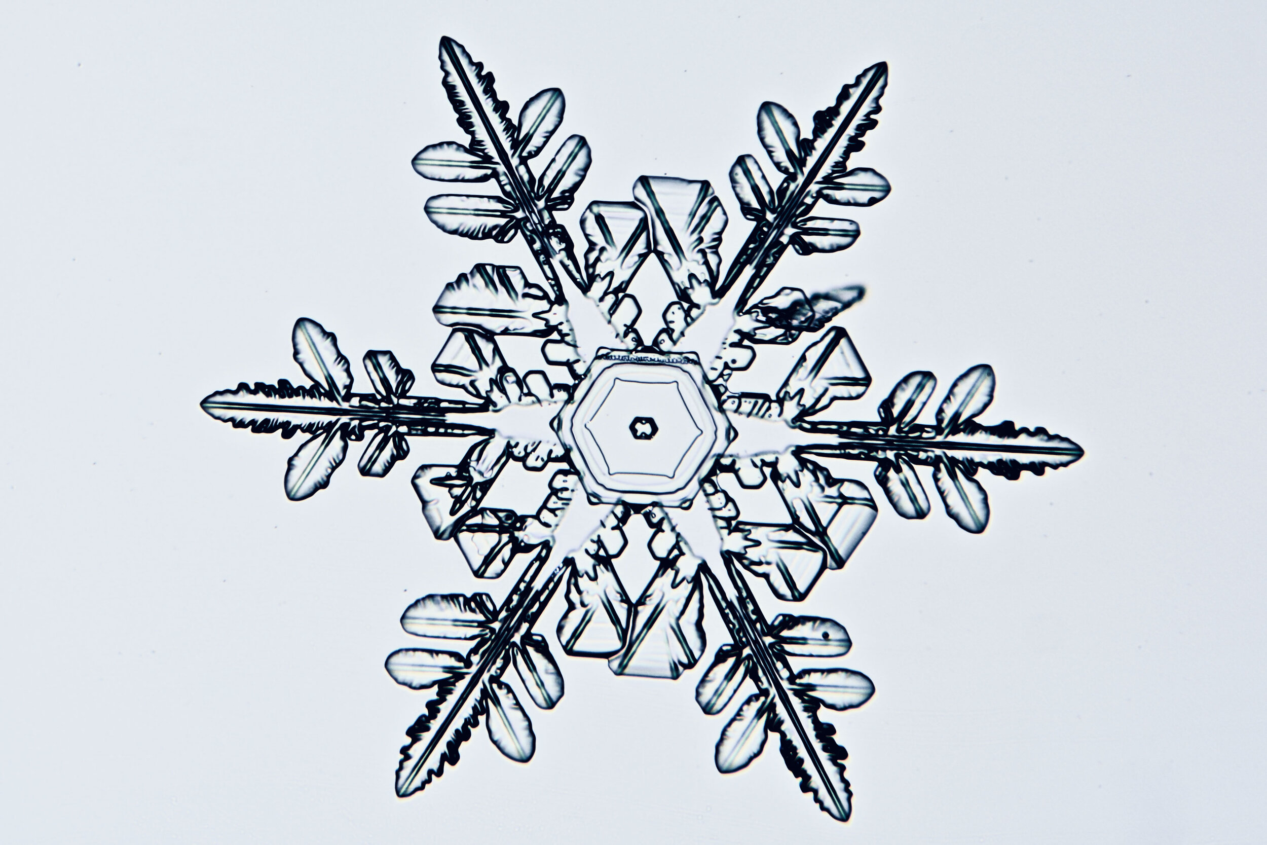 Gary-Mawe-Stellar-Crystal-Snowflake-08.jpg