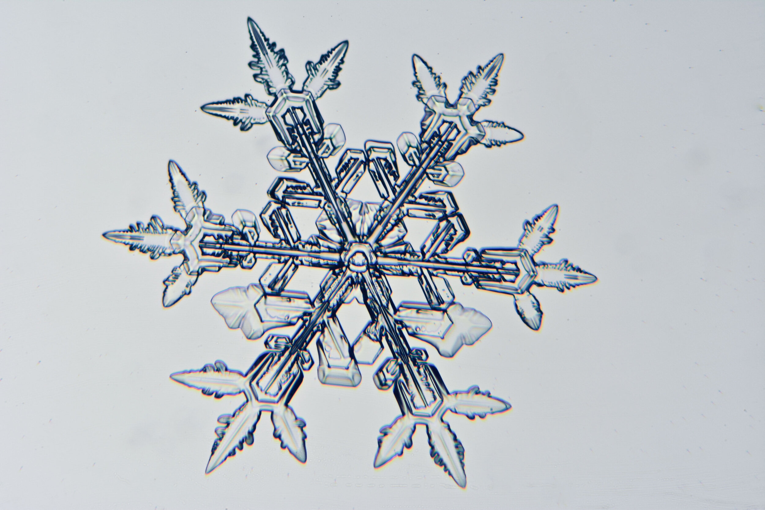 Gary-Mawe-Stellar-Crystal-Snowflake-10.jpg
