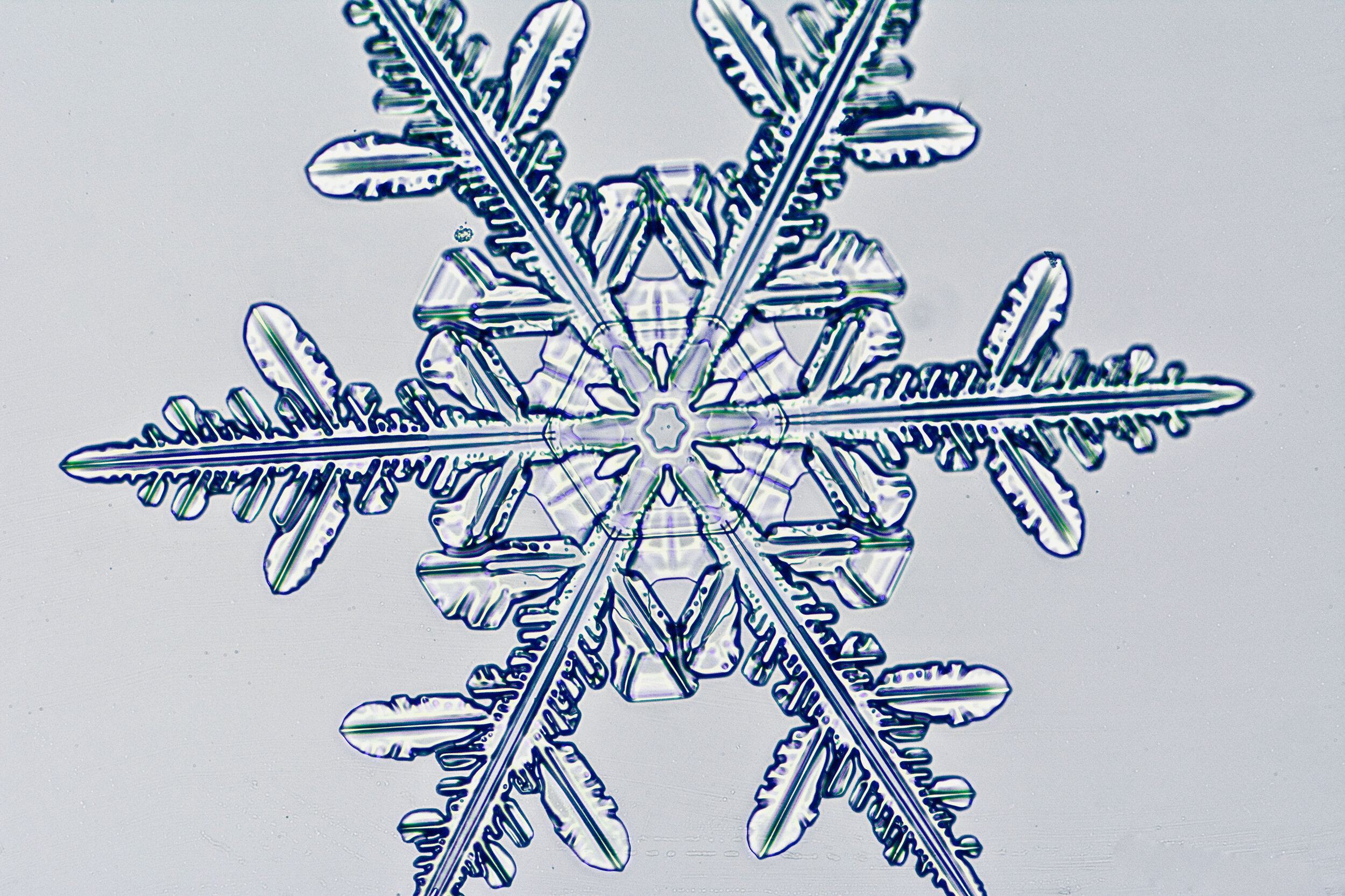 Gary-Mawe-Stellar-Crystal-Snowflake-14.jpg