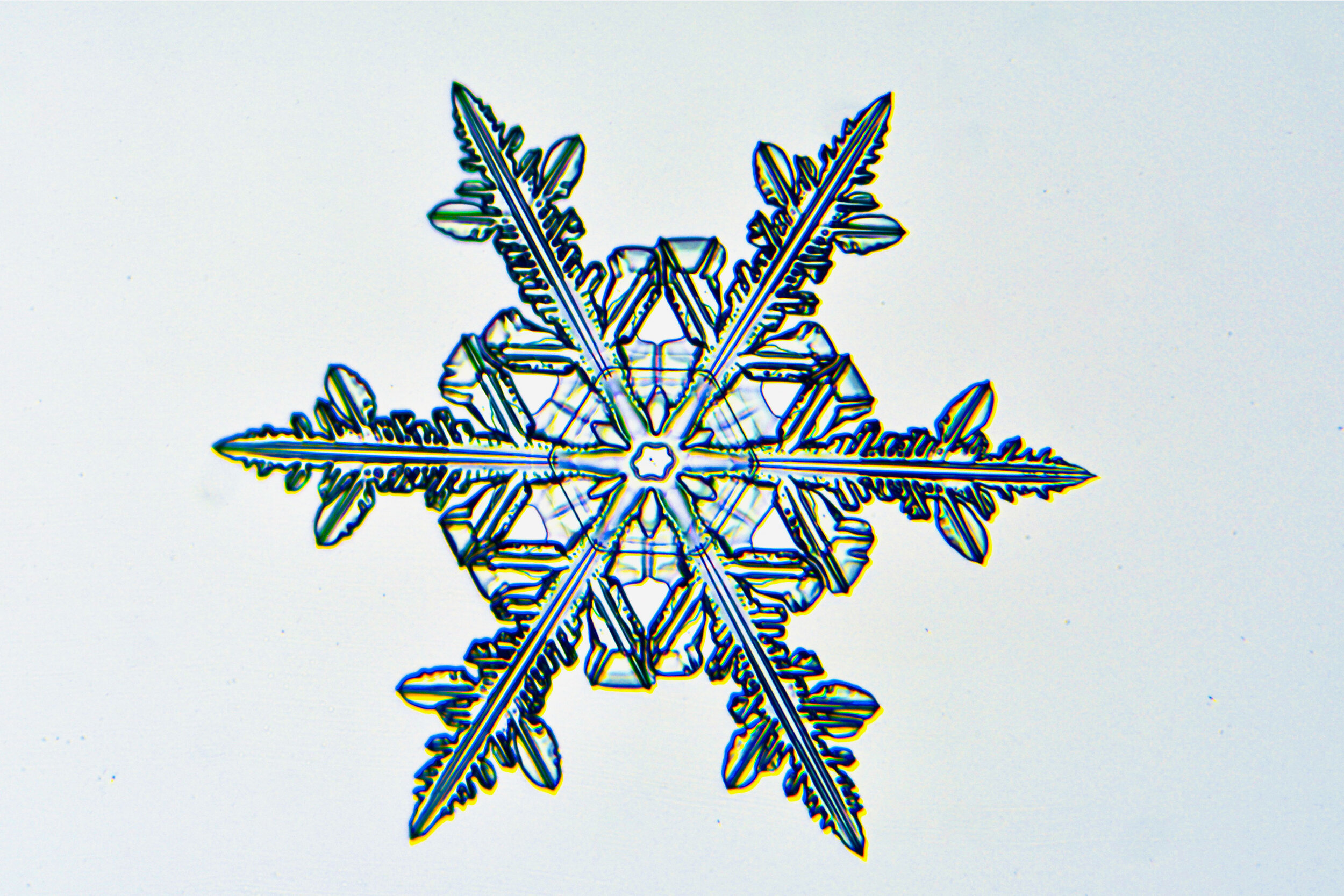 Gary-Mawe-Stellar-Crystal-Snowflake-15.jpg