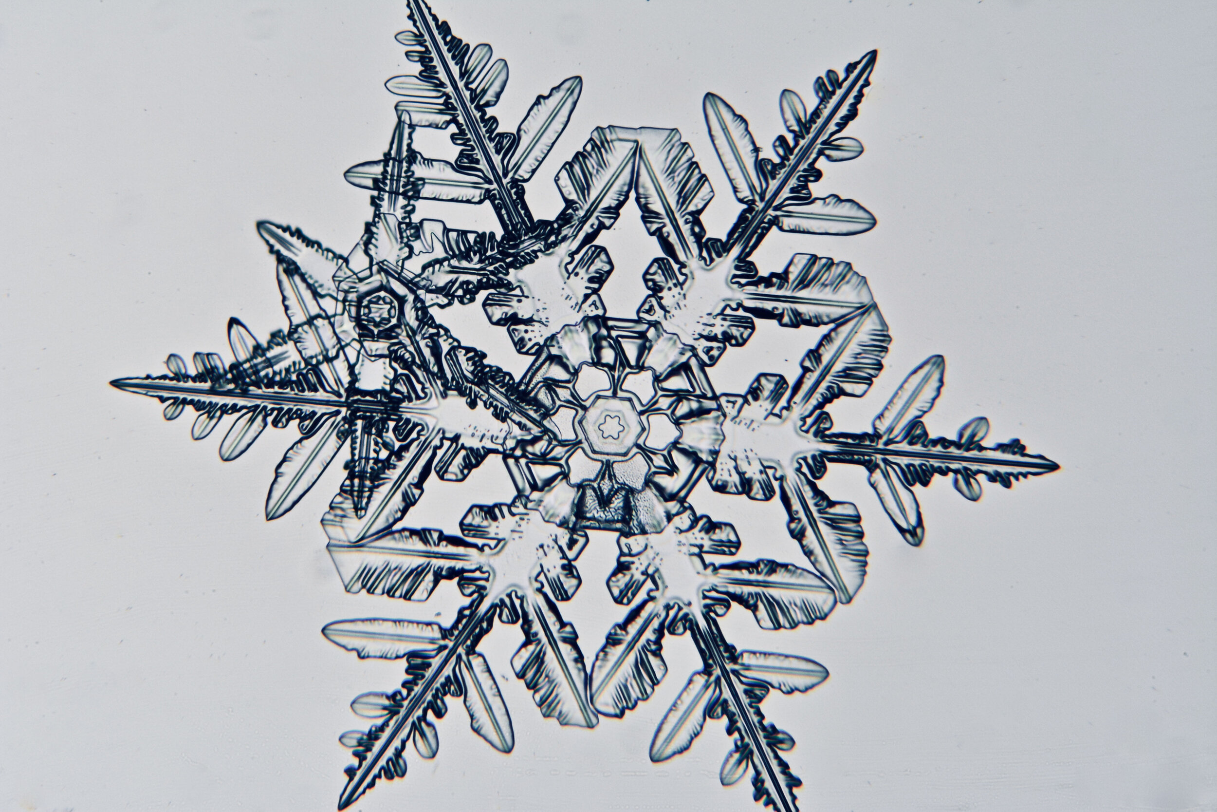 Gary-Mawe-Stellar-Crystal-Snowflake-16.jpg
