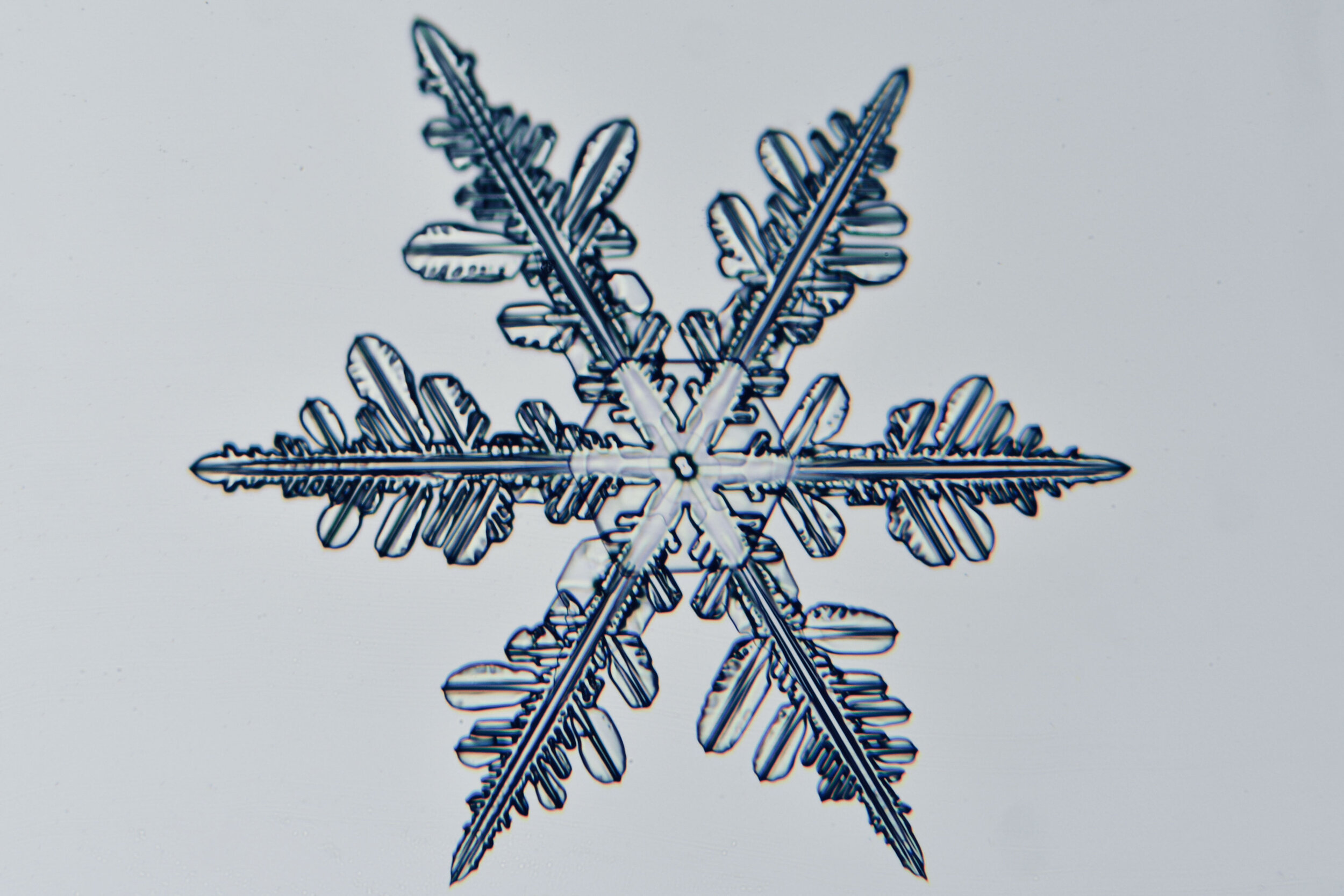 Gary-Mawe-Stellar-Crystal-Snowflake-18.jpg