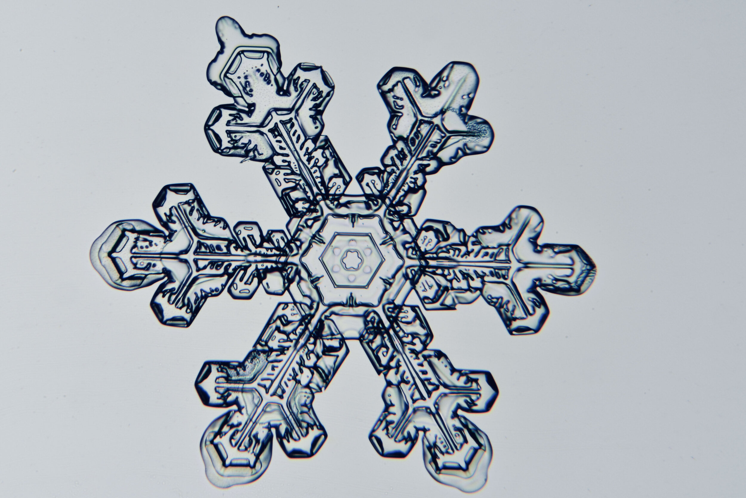 Gary-Mawe-Stellar-Crystal-Snowflake-19.jpg