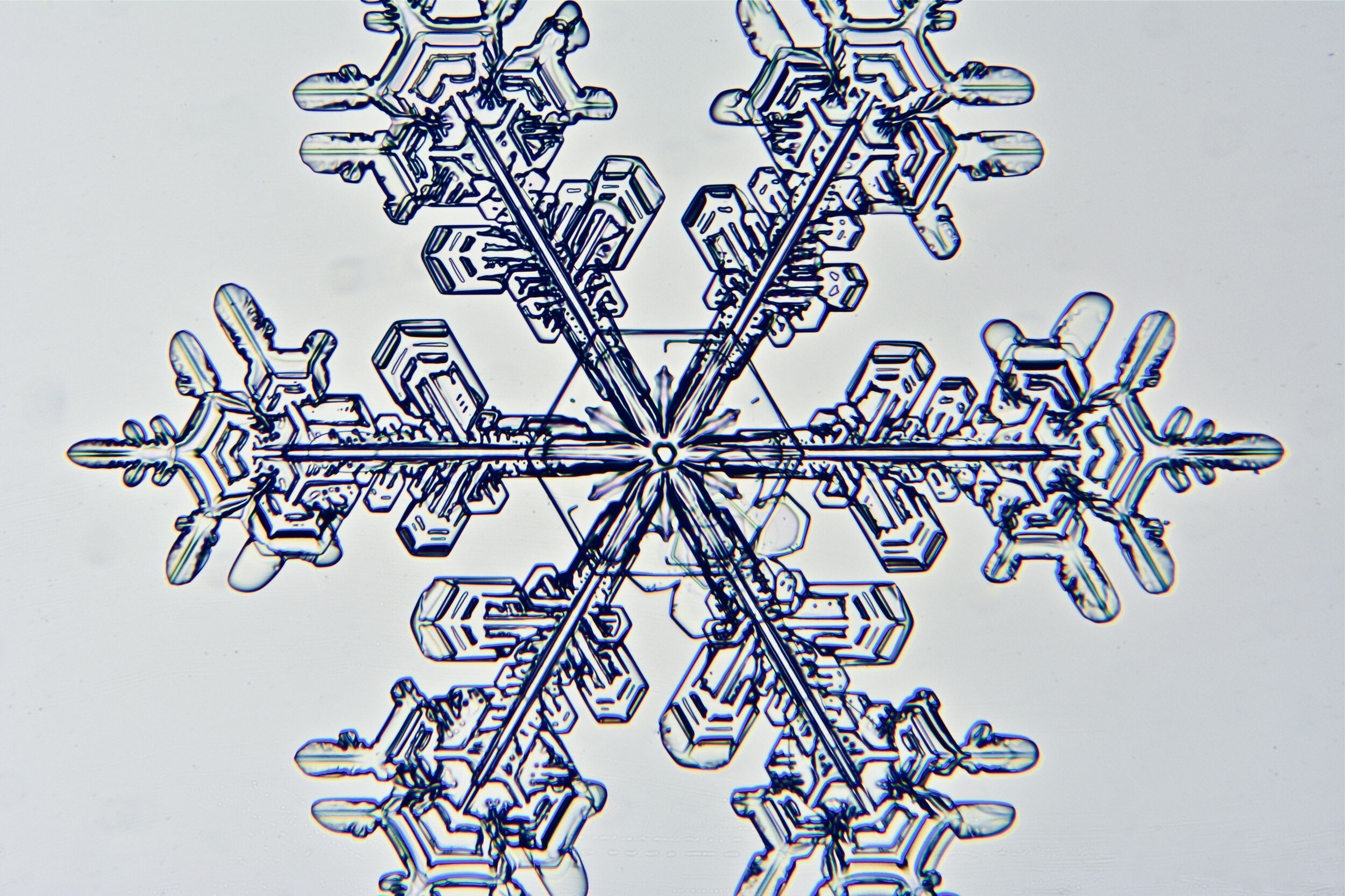 Gary-Mawe-Stellar-Crystal-Snowflake-20.jpg