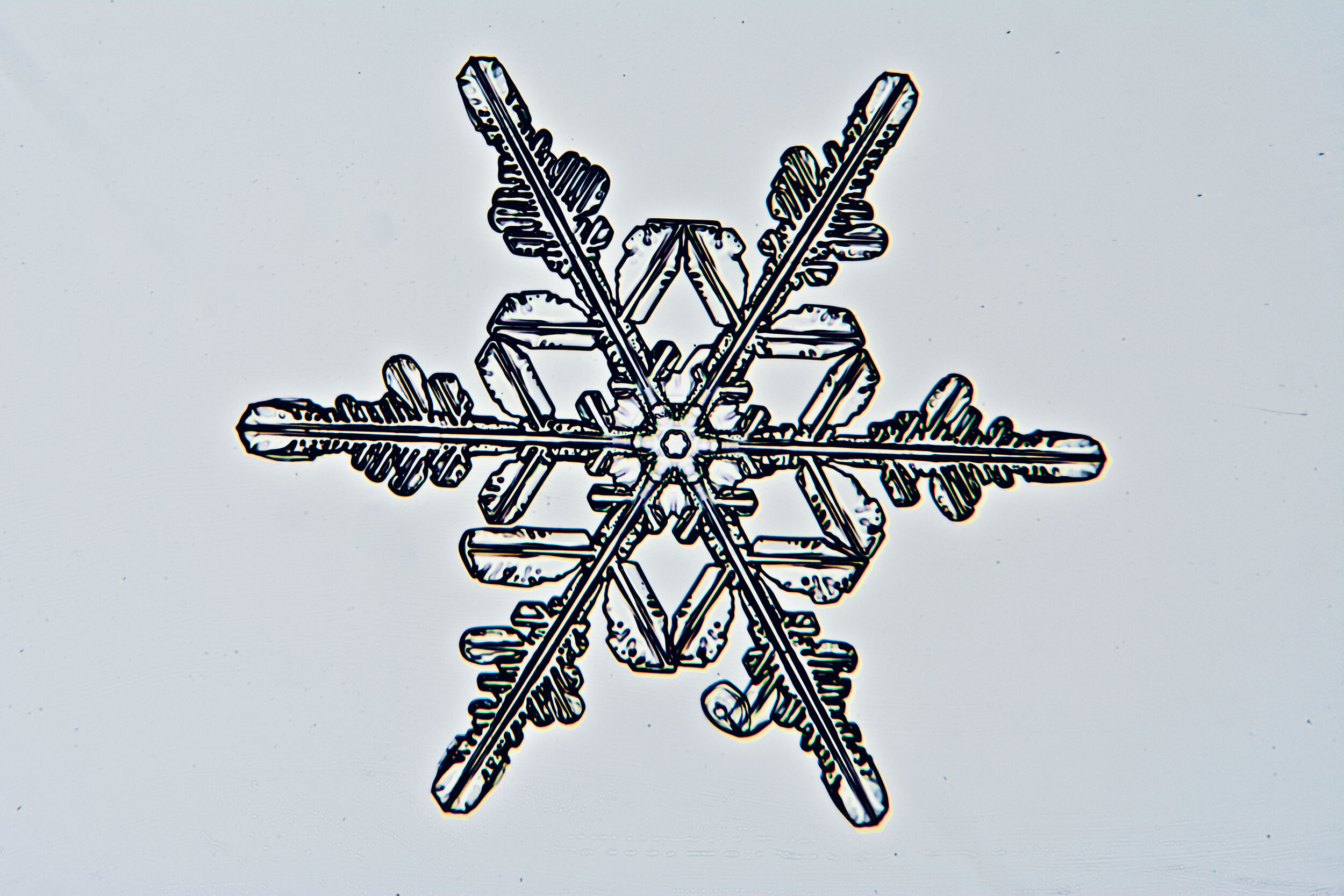 Gary-Mawe-Stellar-Crystal-Snowflake-21.jpg