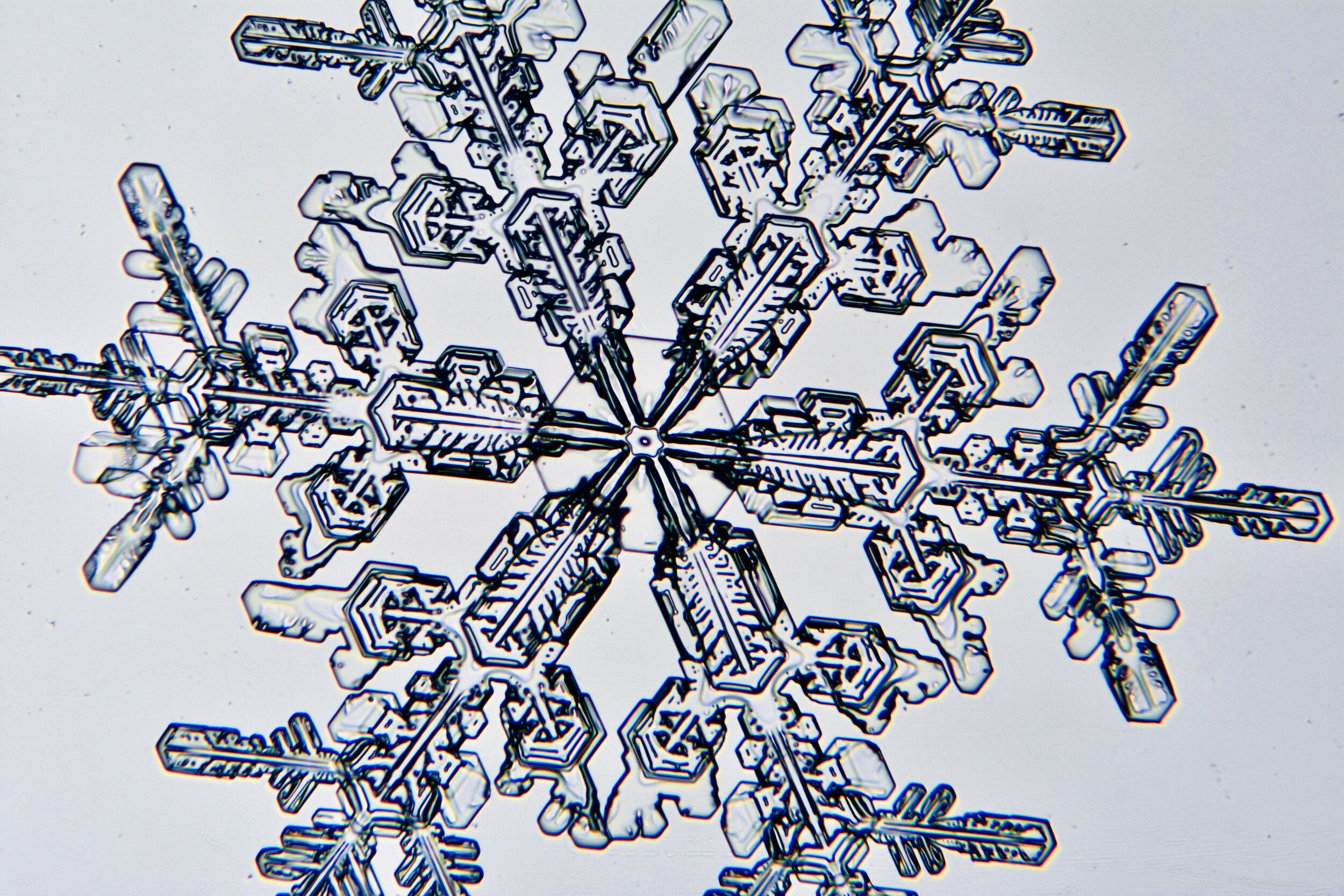 Gary-Mawe-Stellar-Crystal-Snowflake-22.jpg