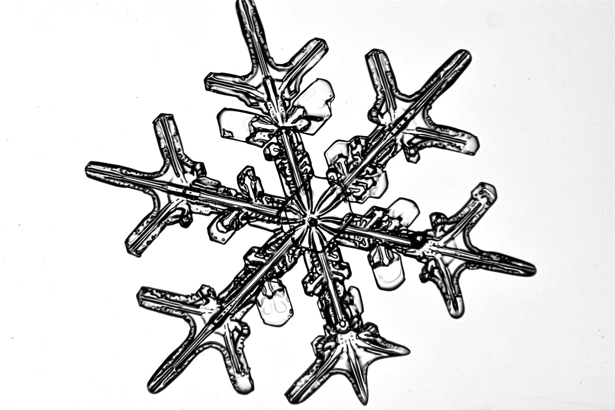 Gary-Mawe-Stellar-Crystal-Snowflake-25.jpg
