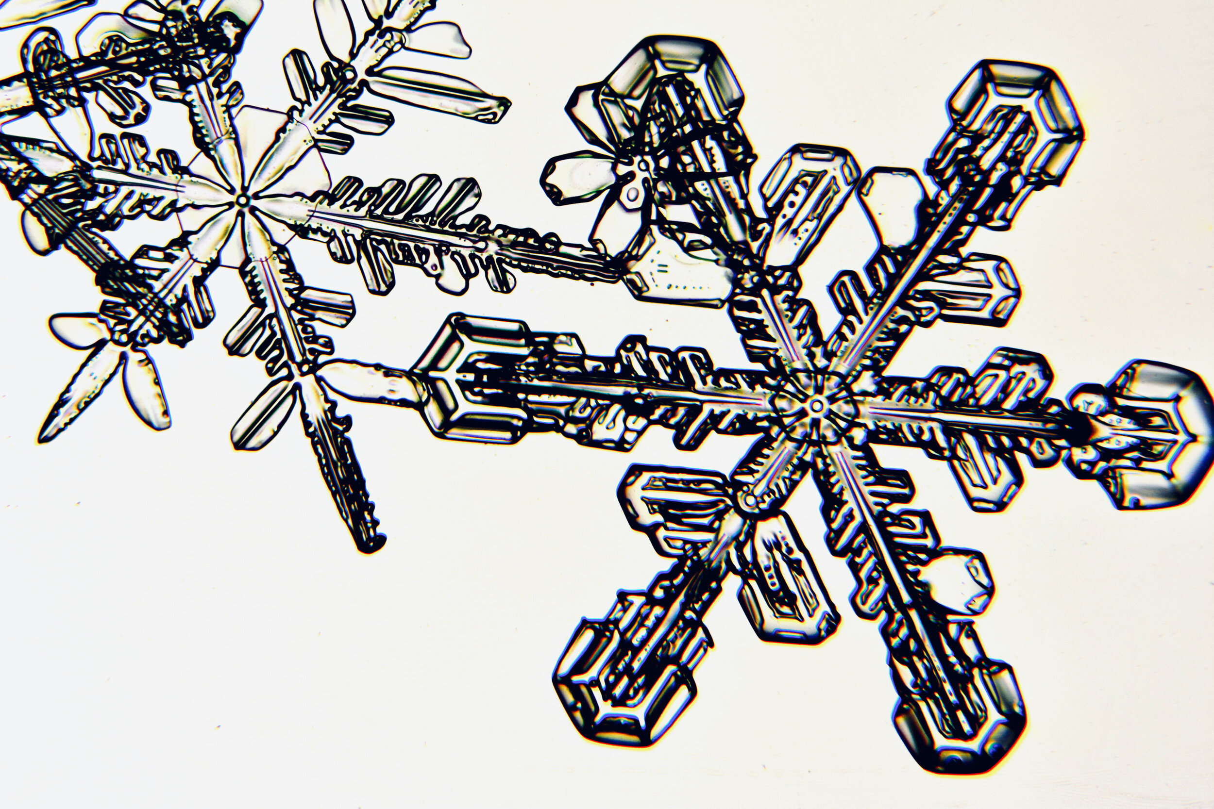 Gary-Mawe-Stellar-Crystal-Snowflake-26.jpg