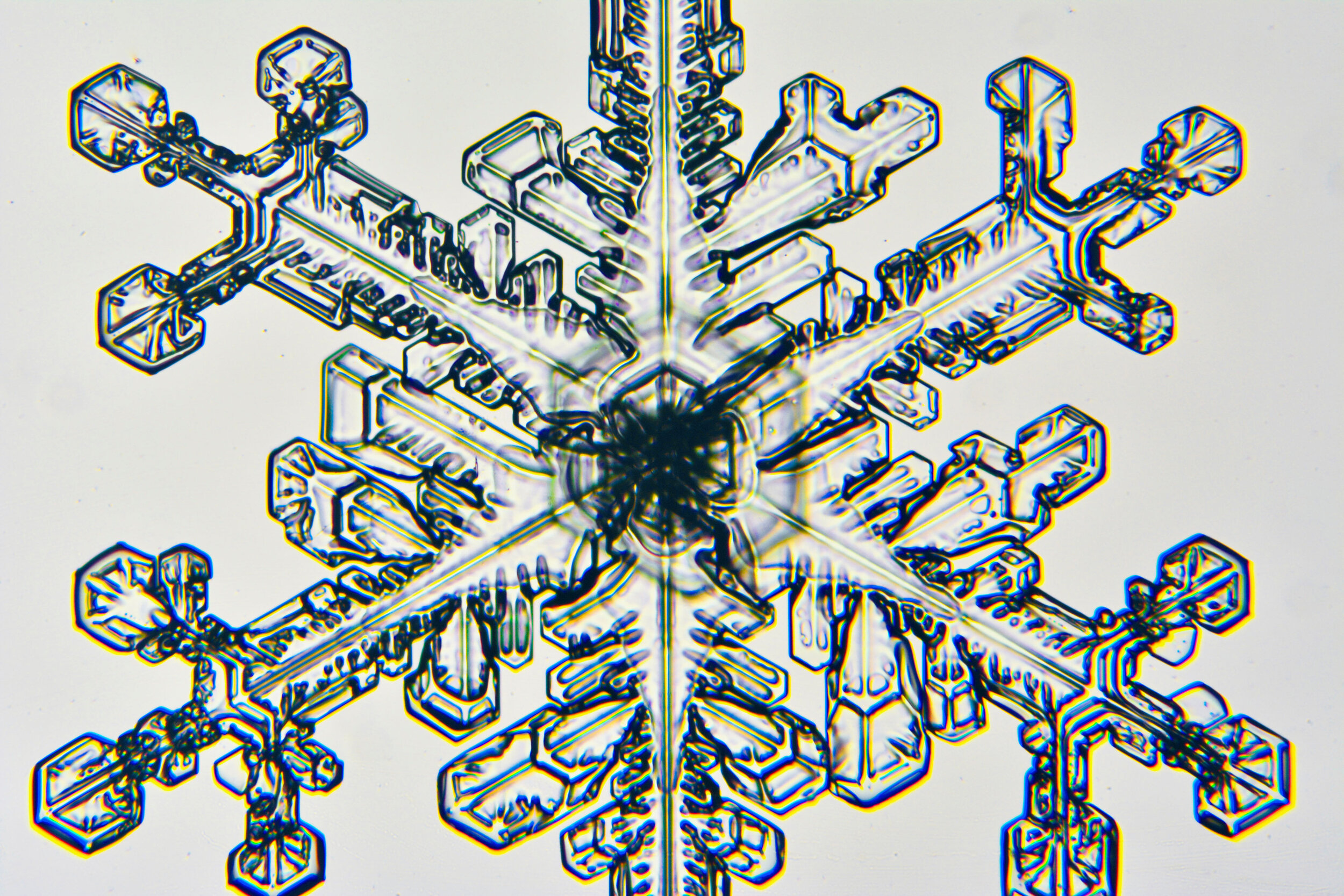Gary-Mawe-Stellar-Crystal-Snowflake-27.jpg