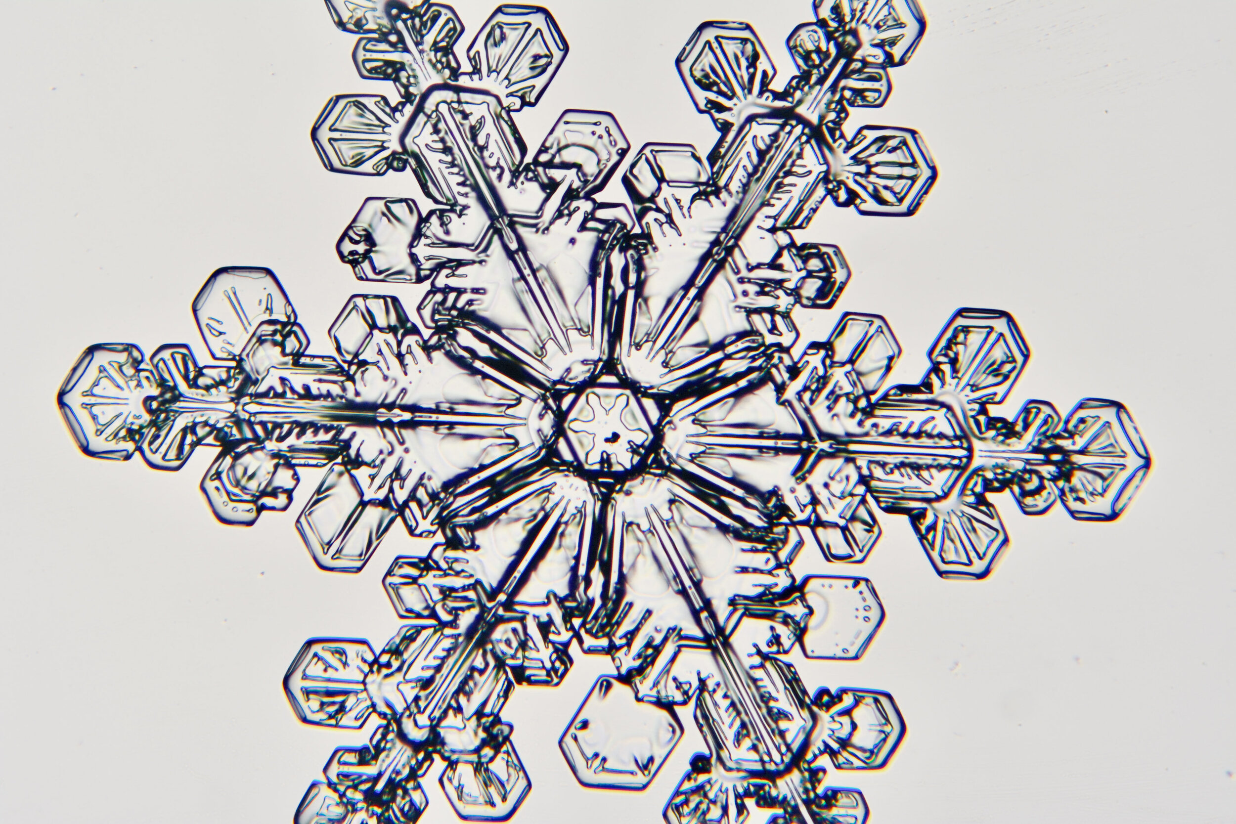 Gary-Mawe-Stellar-Crystal-Snowflake-28.jpg