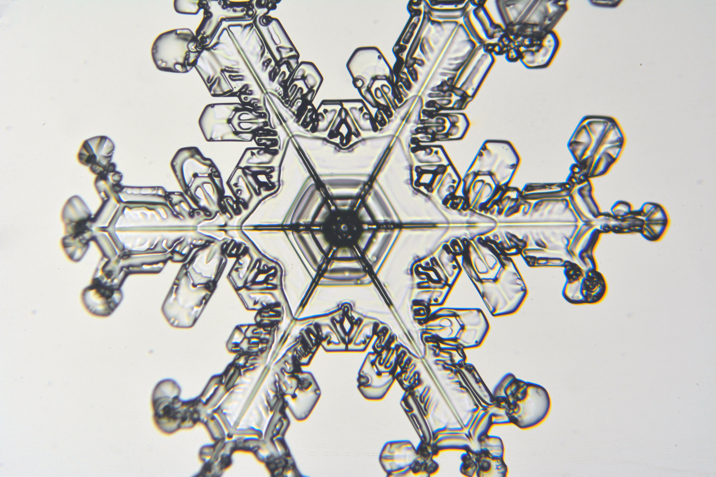 Gary-Mawe-Stellar-Crystal-Snowflake-31.jpg