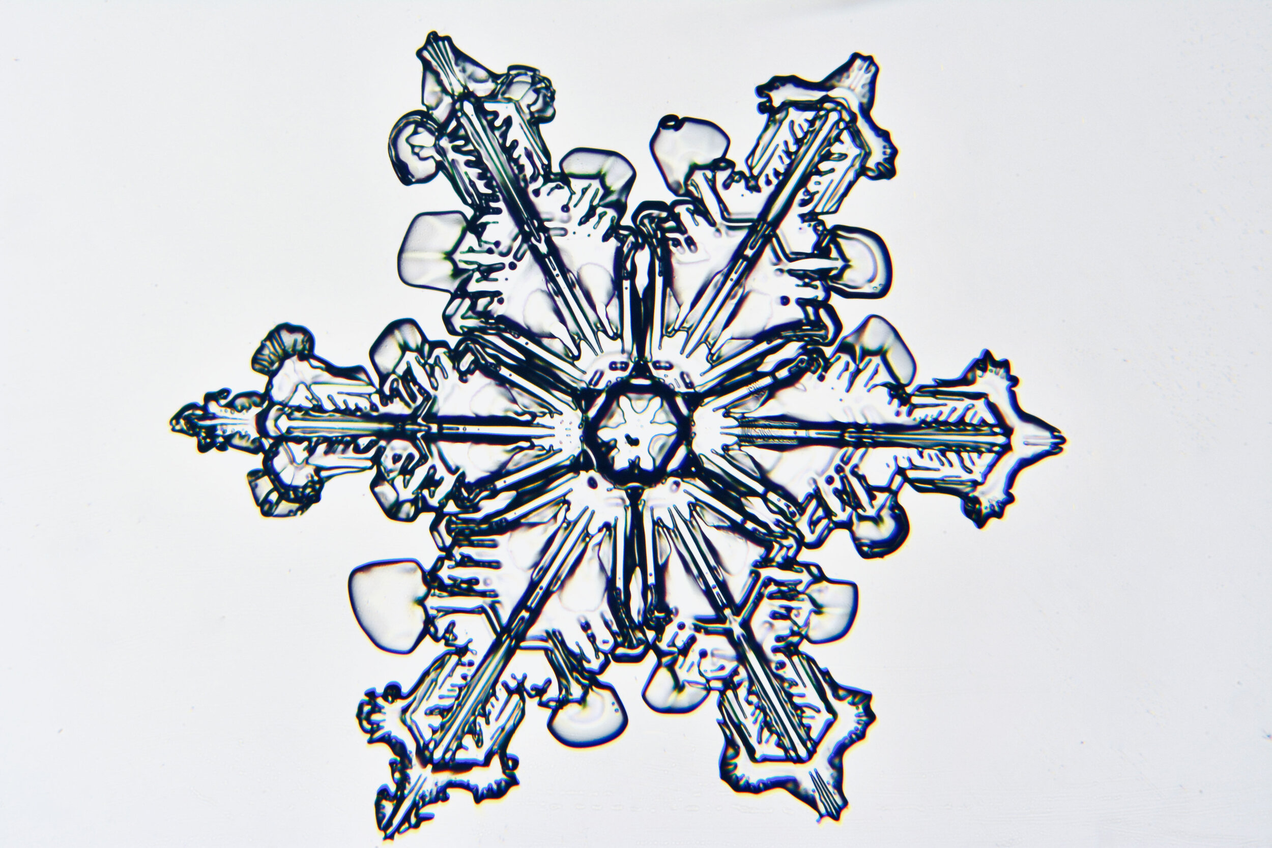 Gary-Mawe-Stellar-Crystal-Snowflake-32.jpg