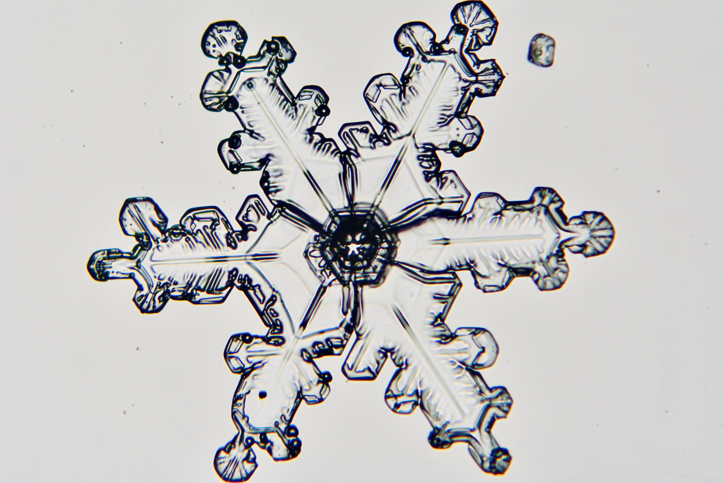 Gary-Mawe-Stellar-Crystal-Snowflake-33.jpg