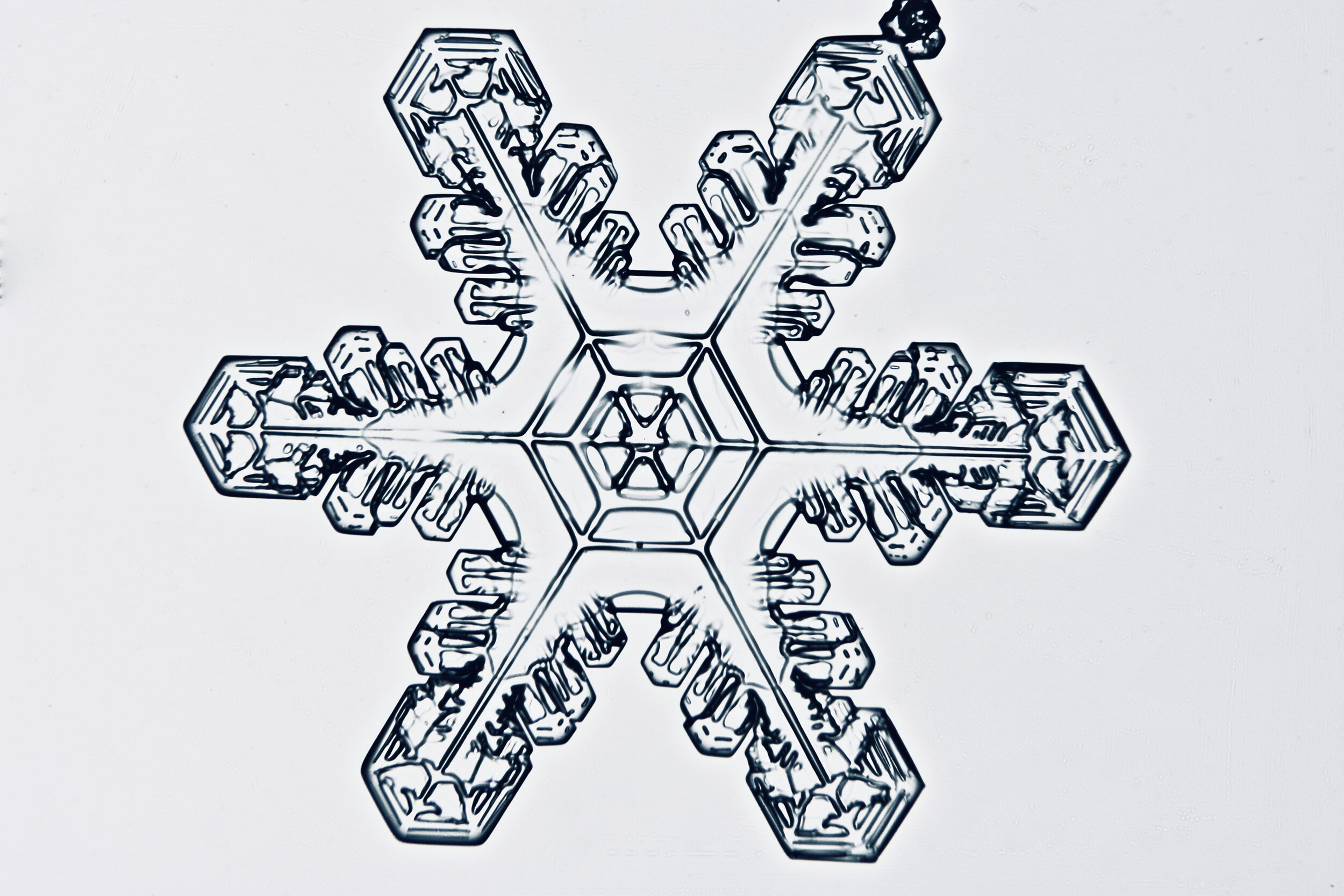 Gary-Mawe-Stellar-Crystal-Snowflake-37.jpg