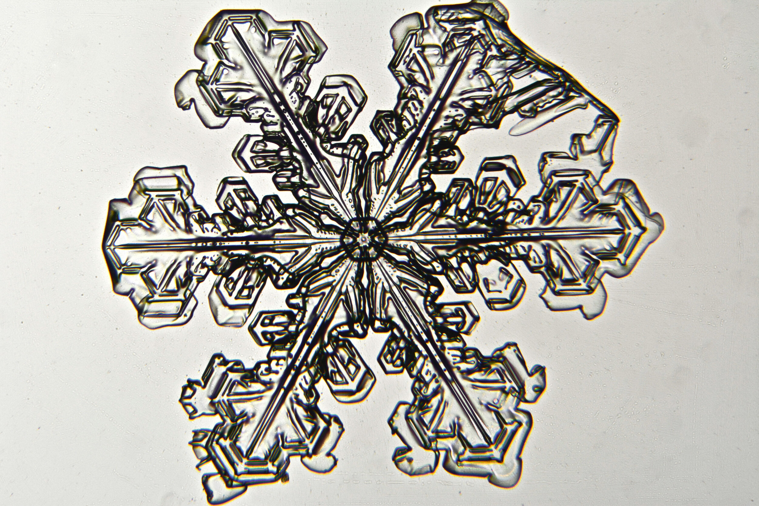 Gary-Mawe-Stellar-Crystal-Snowflake-41.jpg