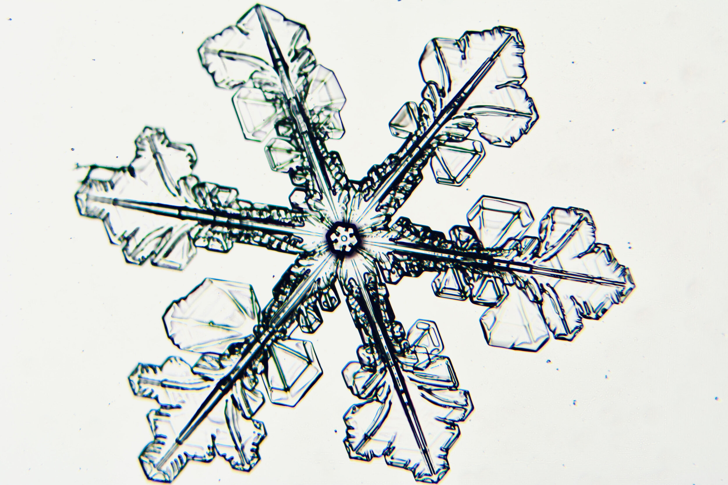 Gary-Mawe-Stellar-Crystal-Snowflake-42.jpg