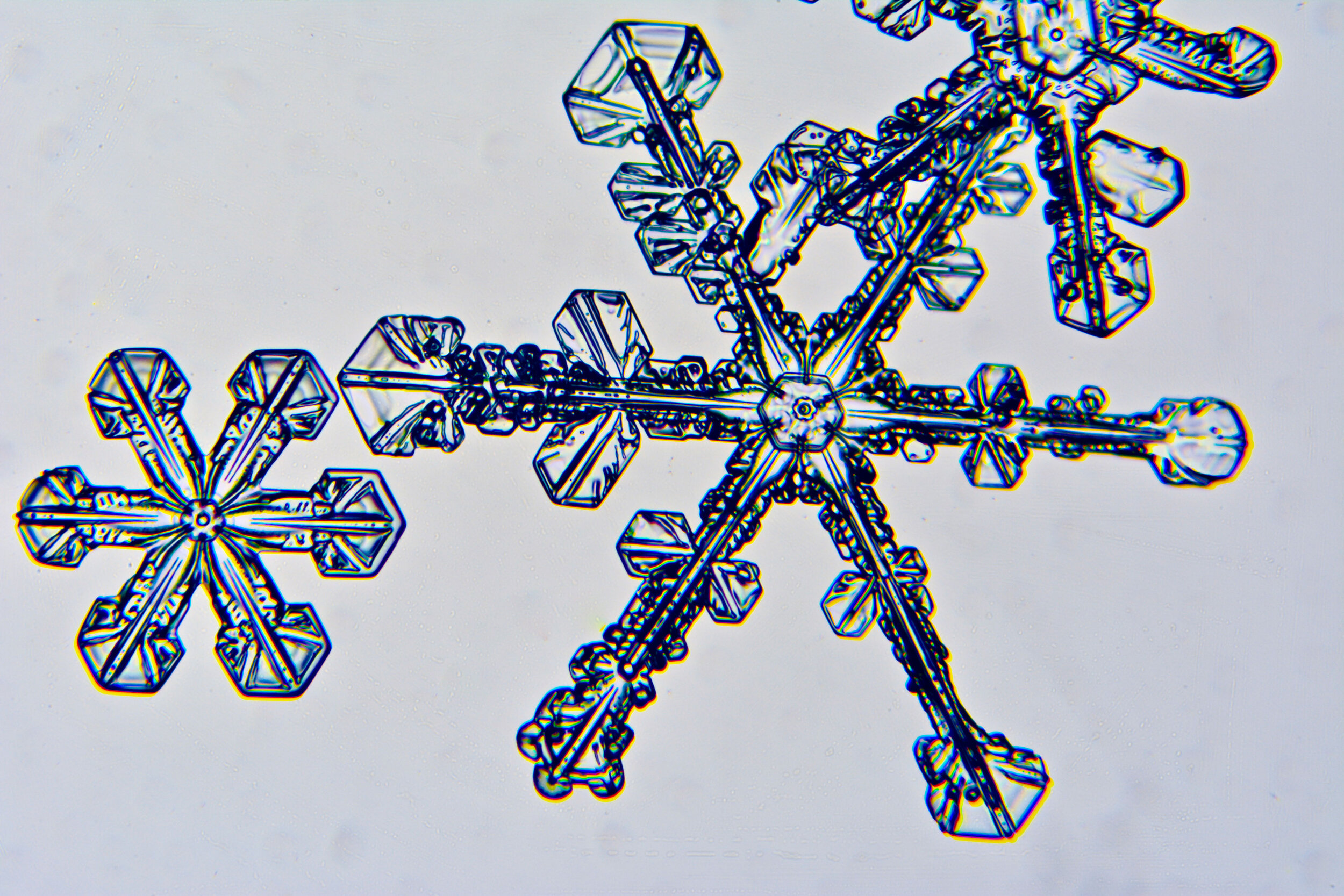 Gary-Mawe-Stellar-Crystal-Snowflake-44.jpg