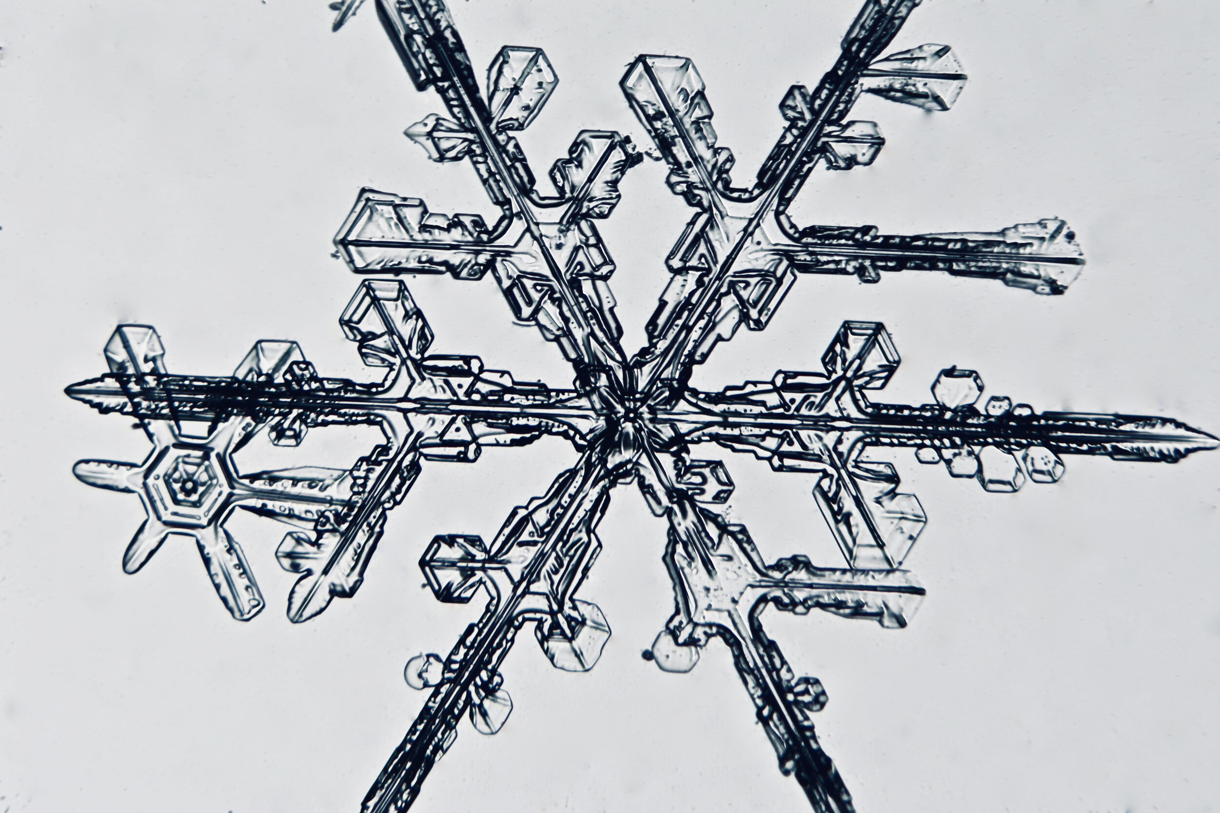 Gary-Mawe-Stellar-Crystal-Snowflake-50.jpg