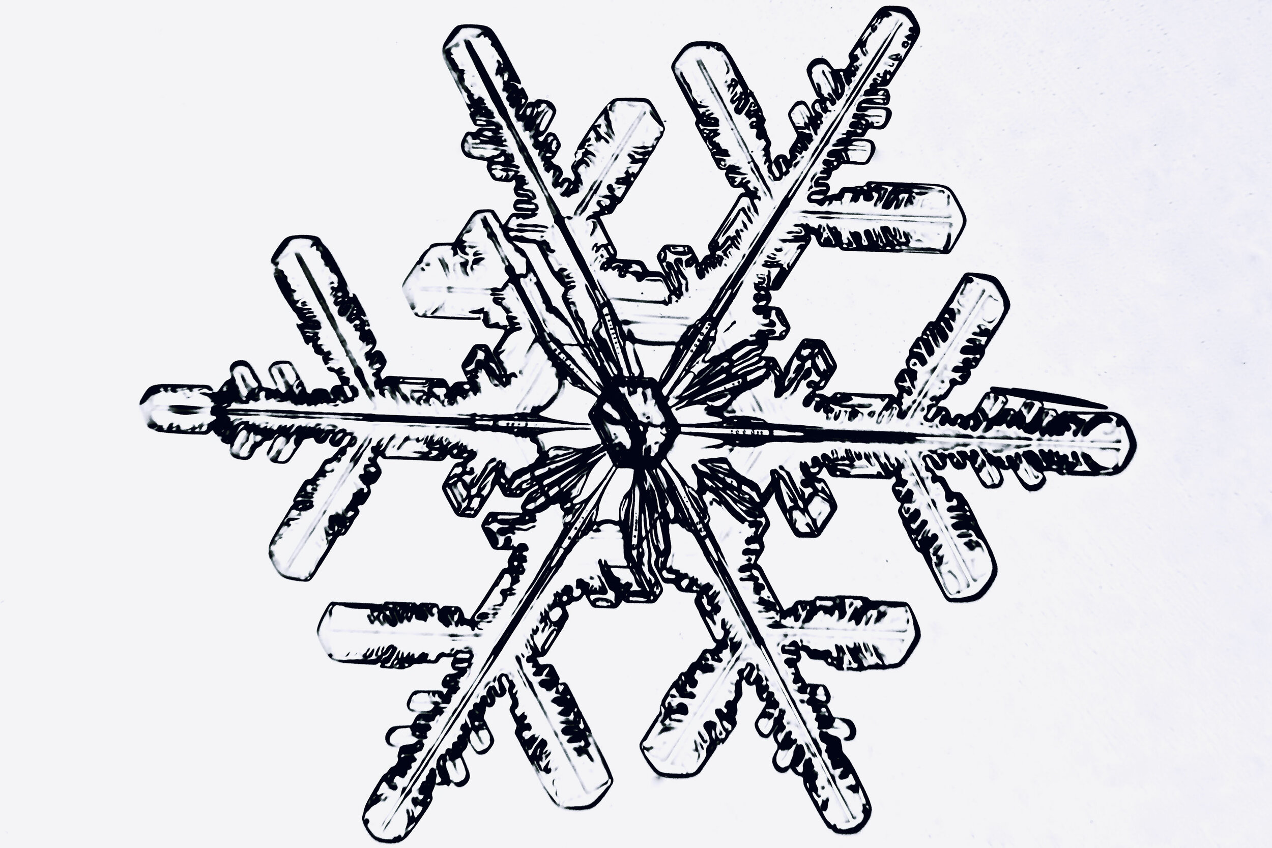 Gary-Mawe-Stellar-Crystal-Snowflake-49.jpg