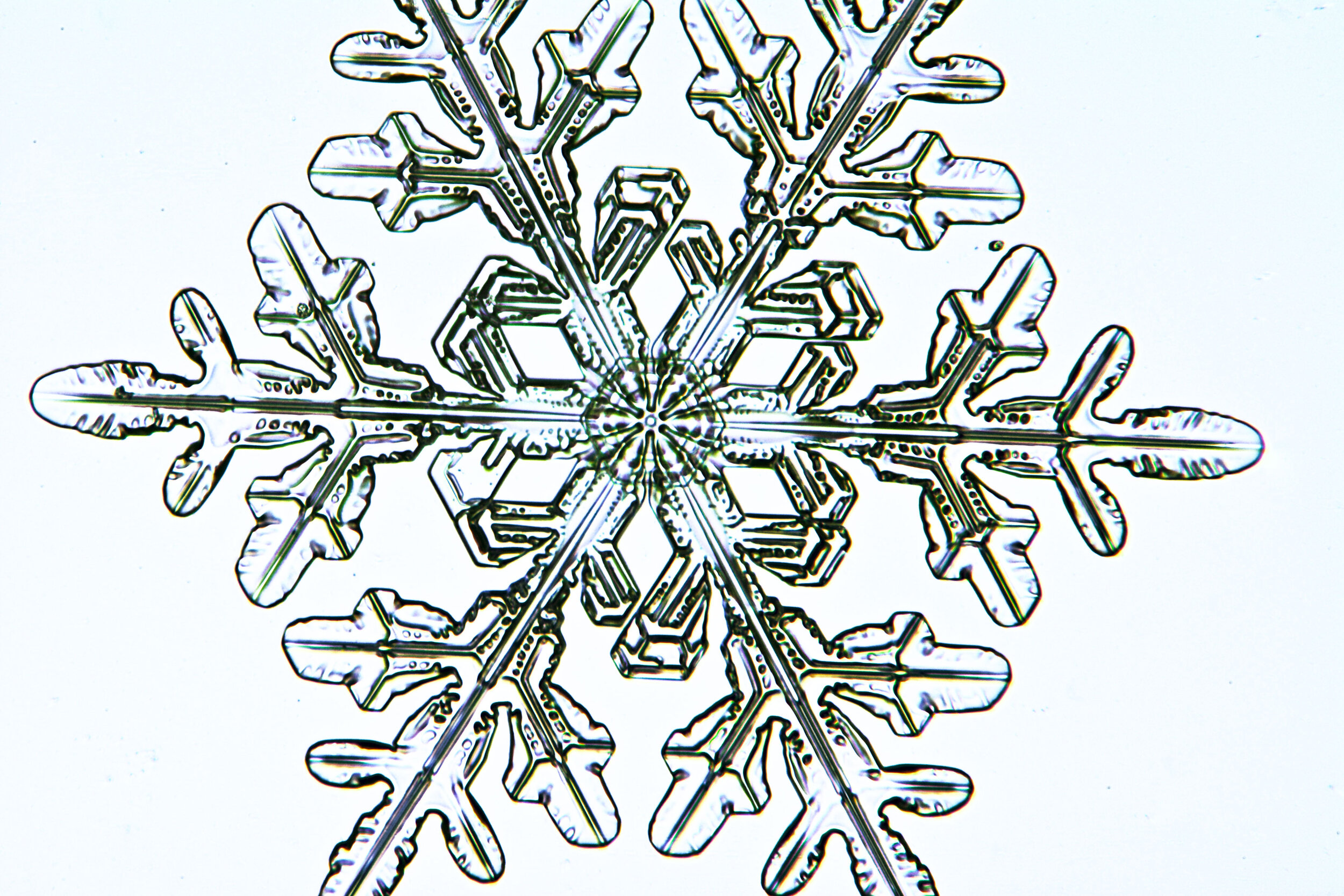 Gary-Mawe-Stellar-Crystal-Snowflake-52.jpg