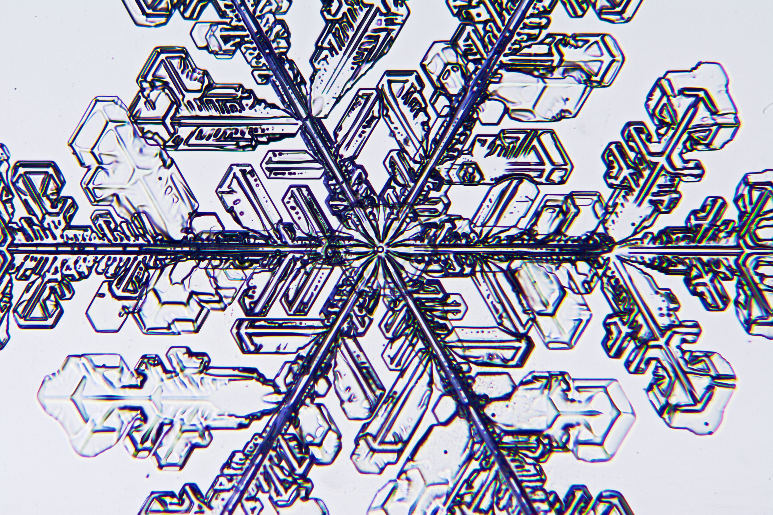 Gary-Mawe-Stellar-Crystal-Snowflake-53.jpg
