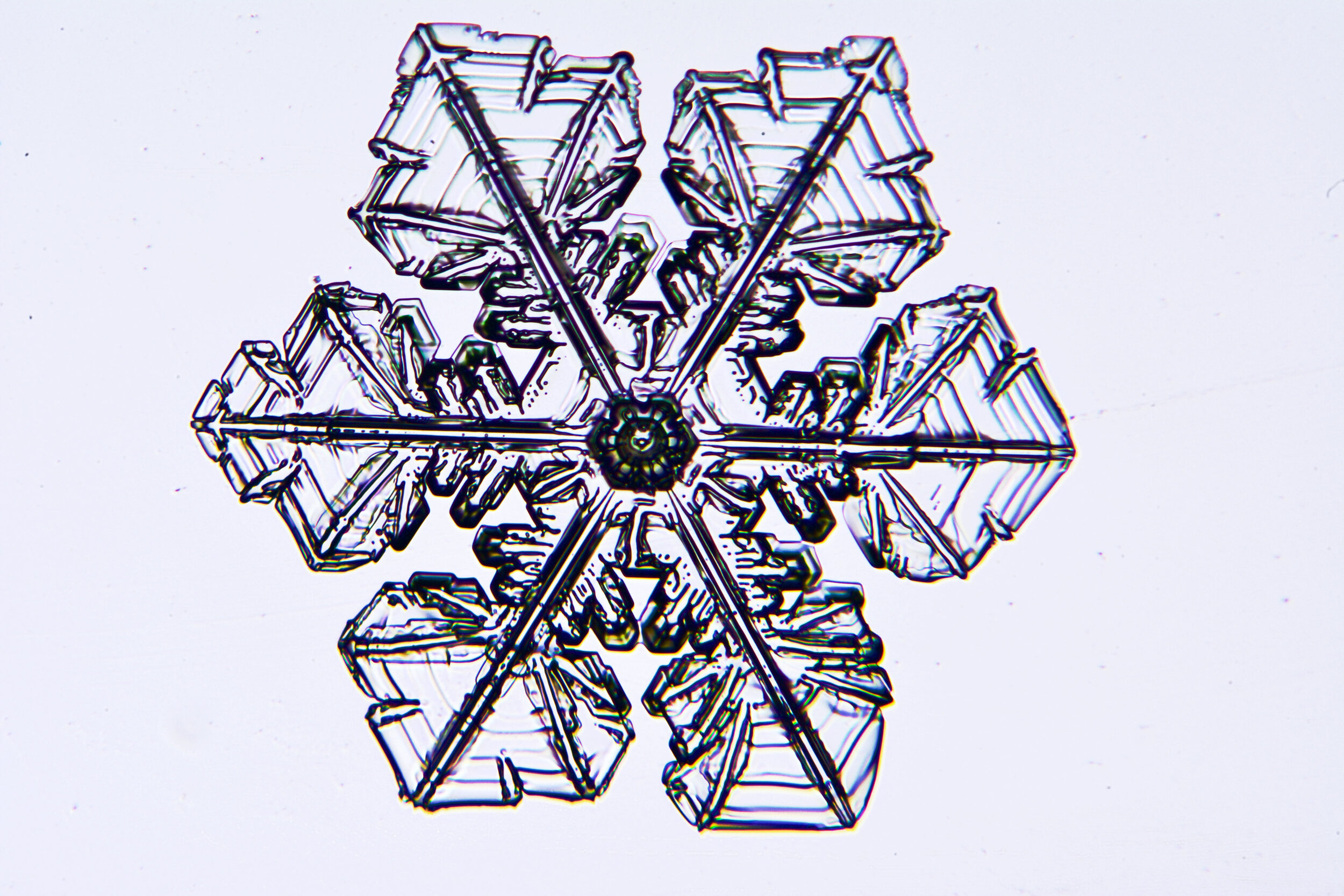 Gary-Mawe-Stellar-Crystal-Snowflake-54.jpg