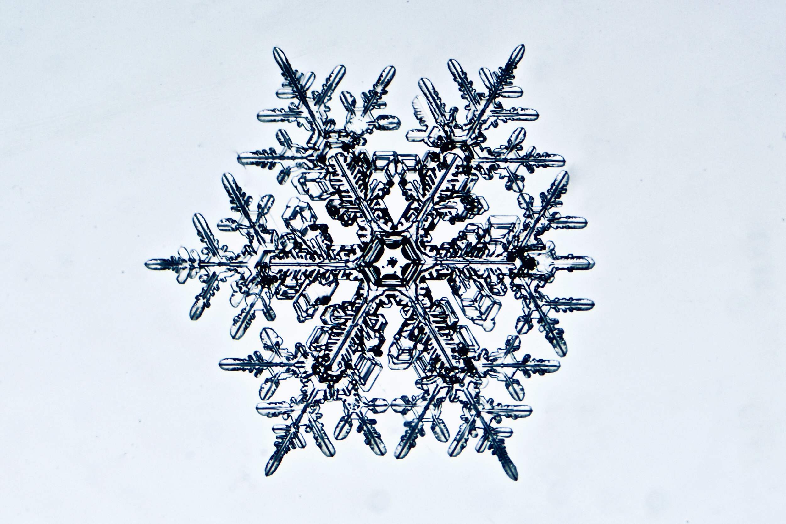 Gary-Mawe-Stellar-Crystal-Snowflake-55.jpg