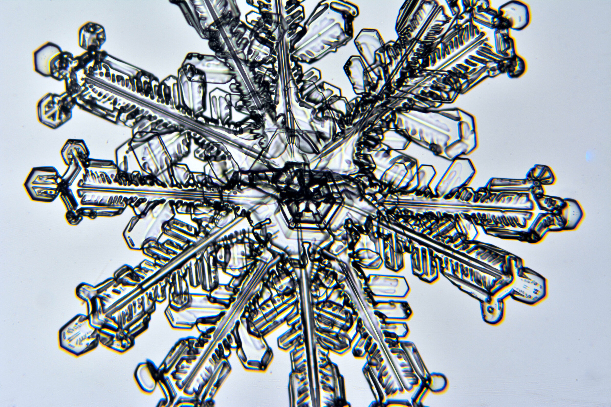 Gary-Mawe-12-Sided-Snowflake-02.jpg