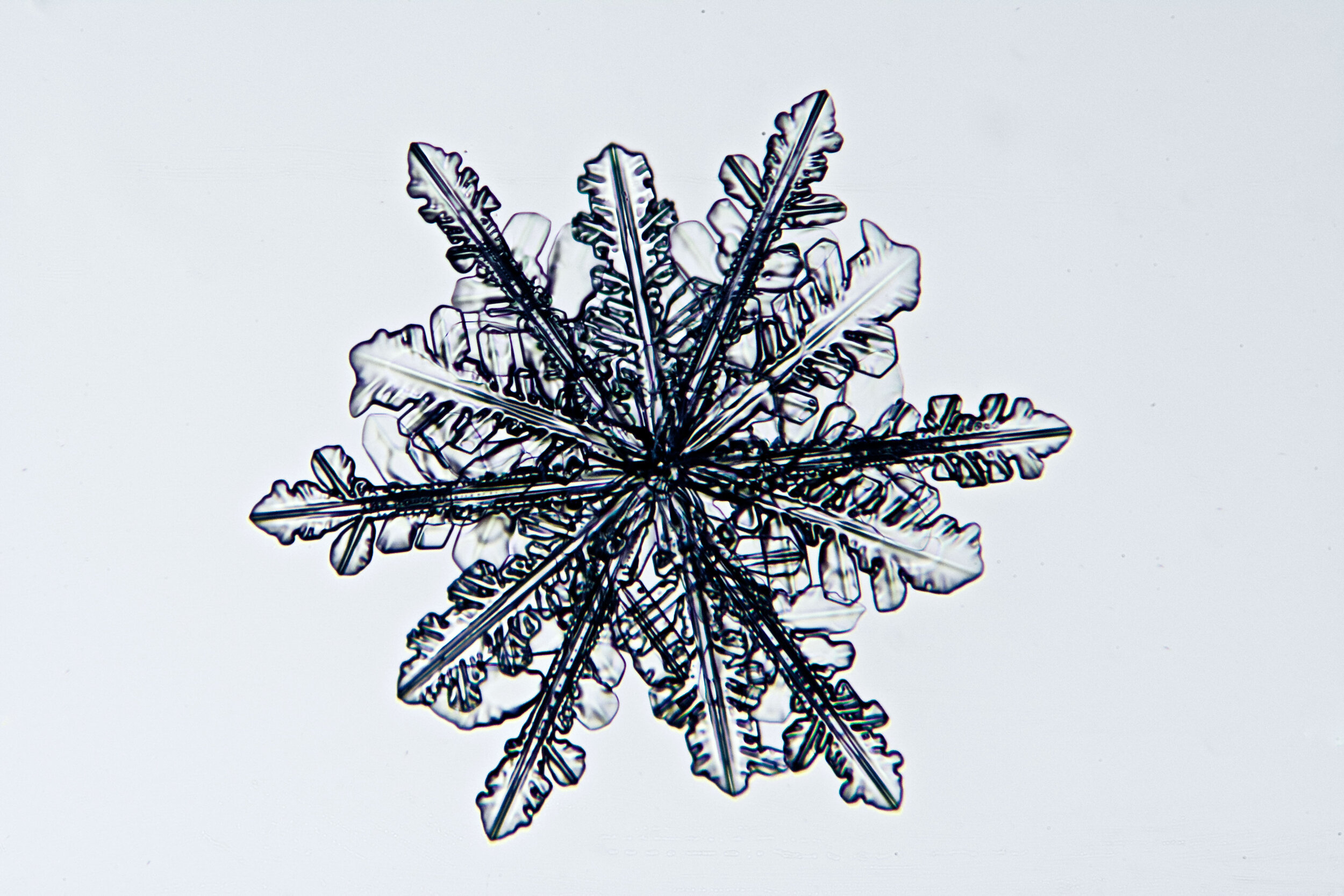 Gary-Mawe-12-Sided-Snowflake-05.jpg