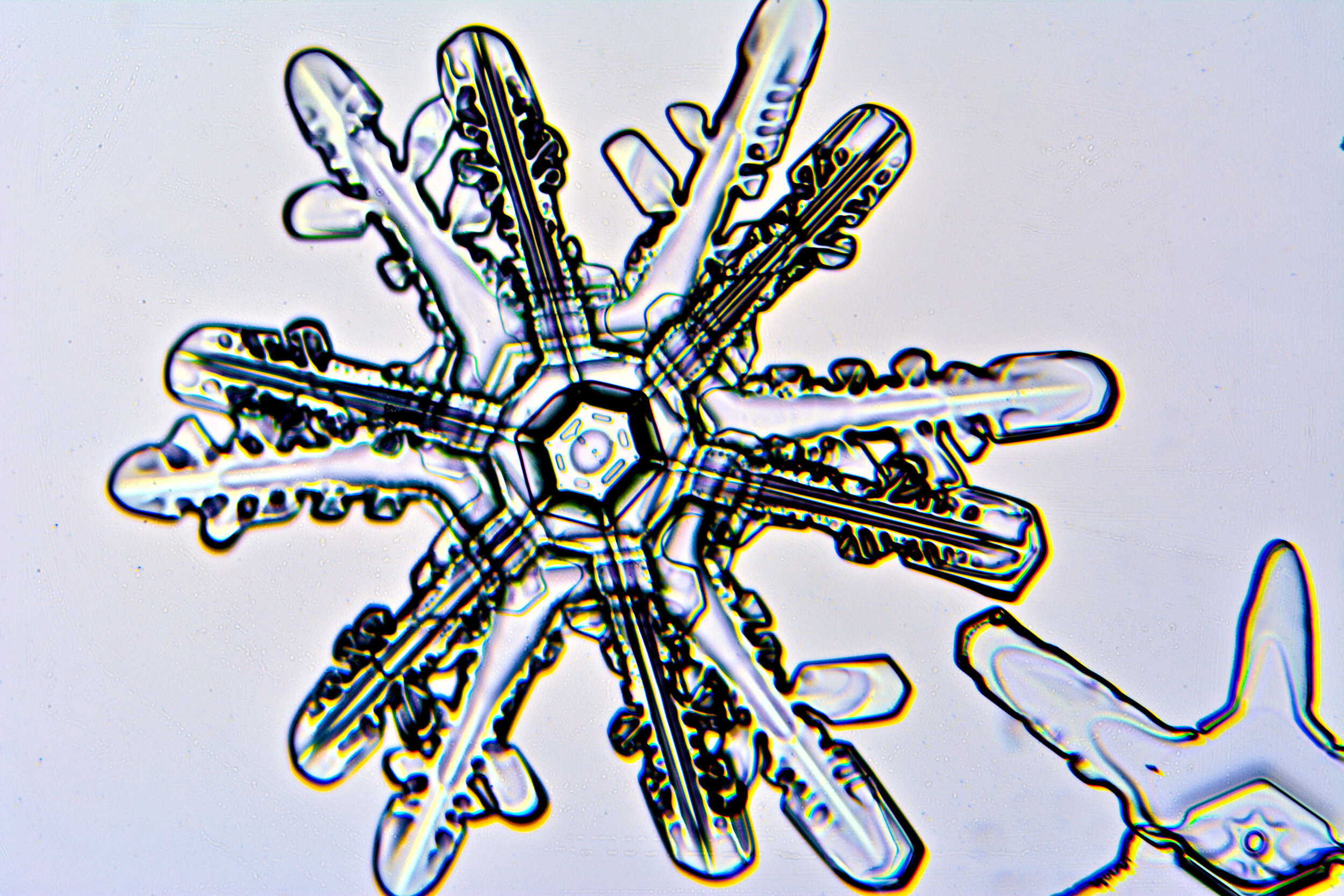 Gary-Mawe-12-Sided-Snowflake-07.jpg