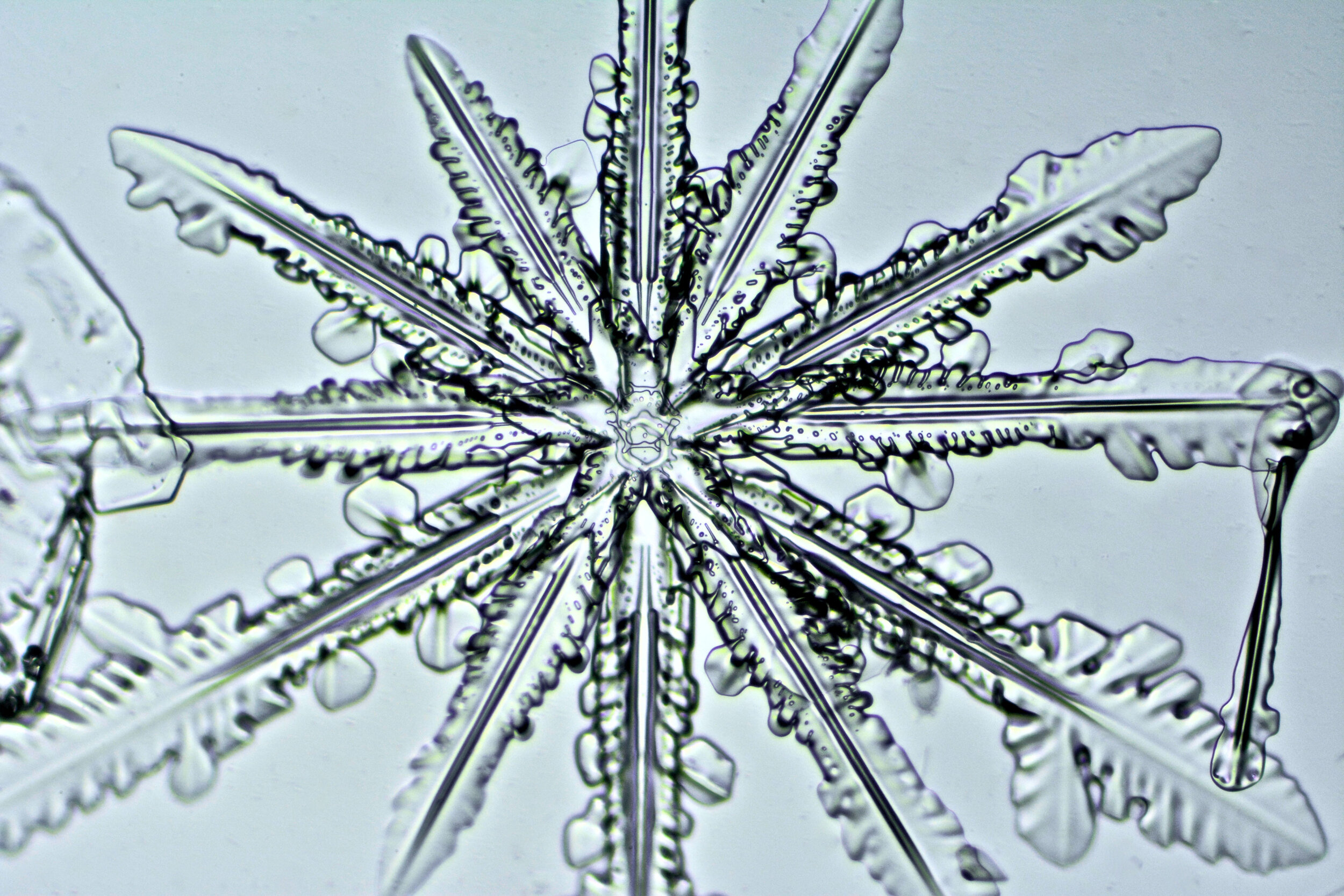 Gary-Mawe-12-Sided-Snowflake-08.jpg