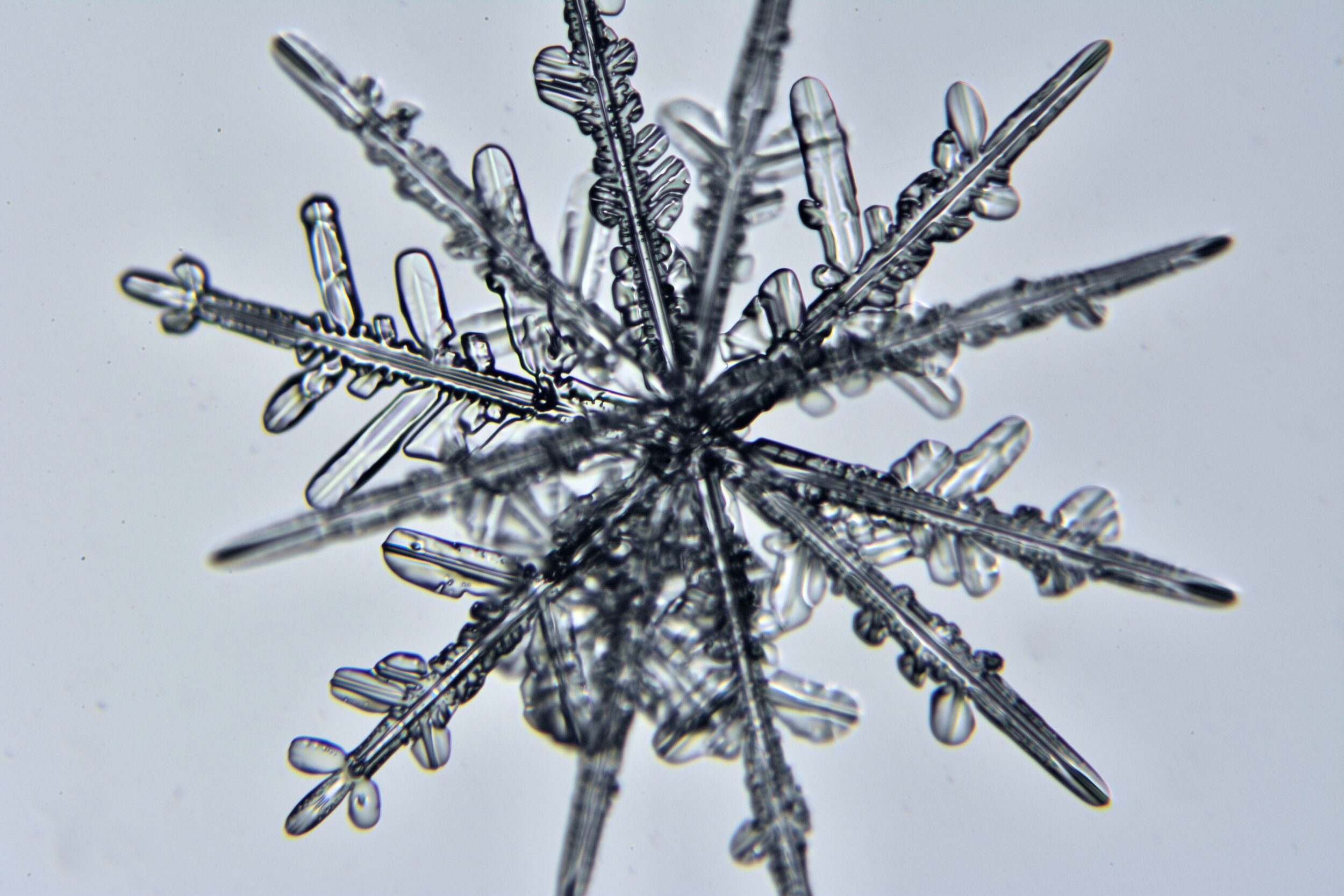 Gary-Mawe-12-Sided-Snowflake-09.jpg