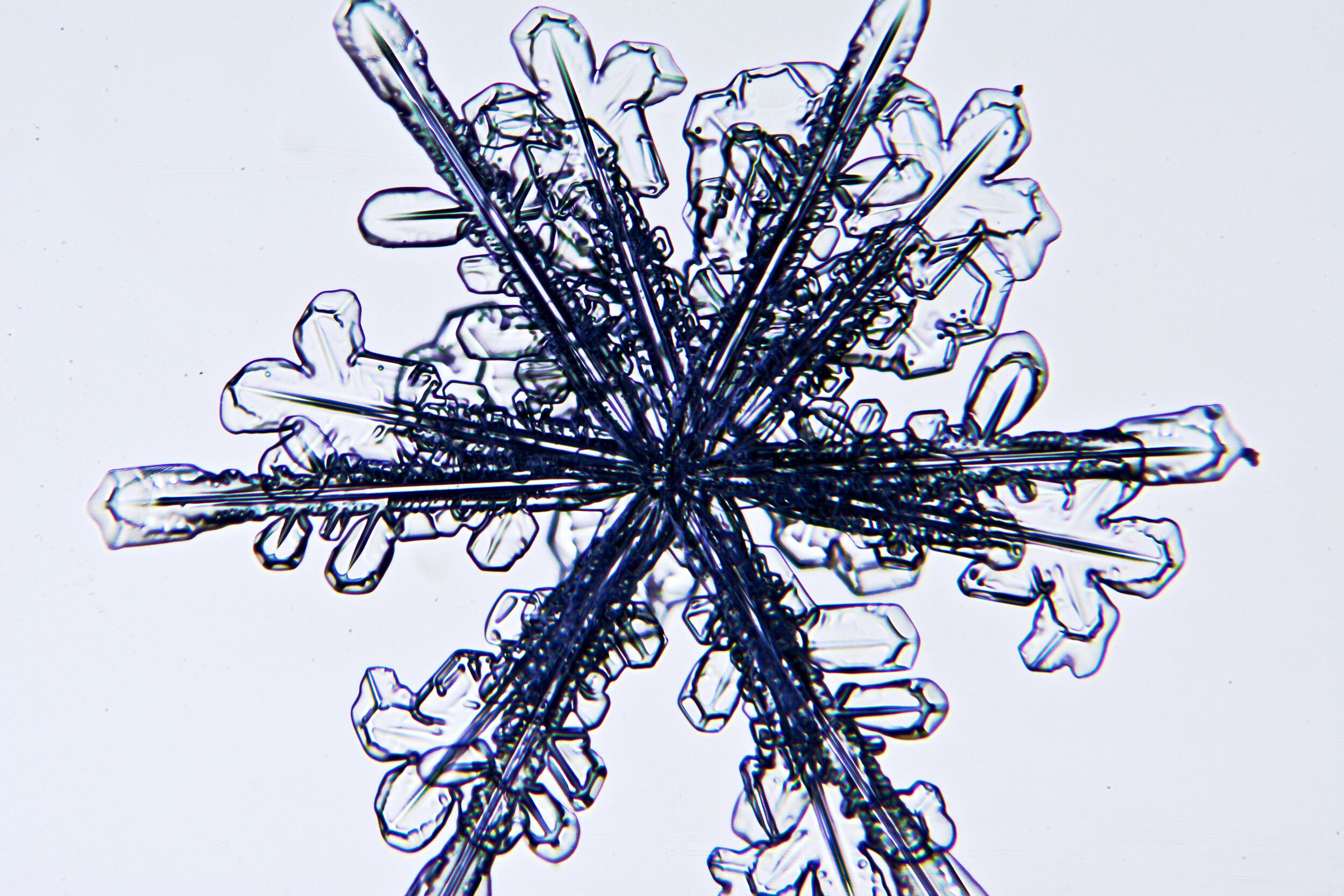 Gary-Mawe-12-Sided-Snowflake-10.jpg