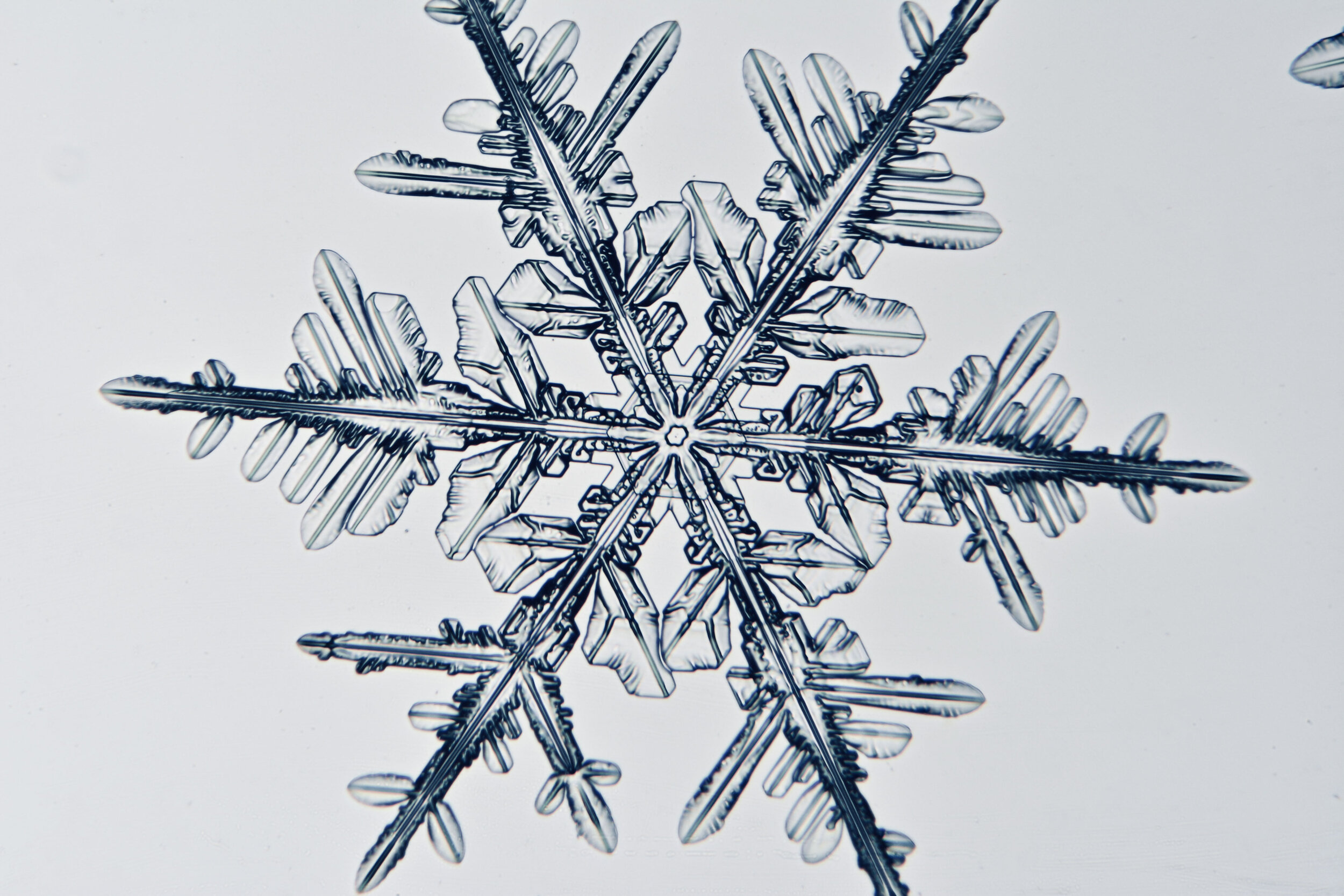 Gary-Mawe-Stellar-Crystal-Snowflake-12.jpg