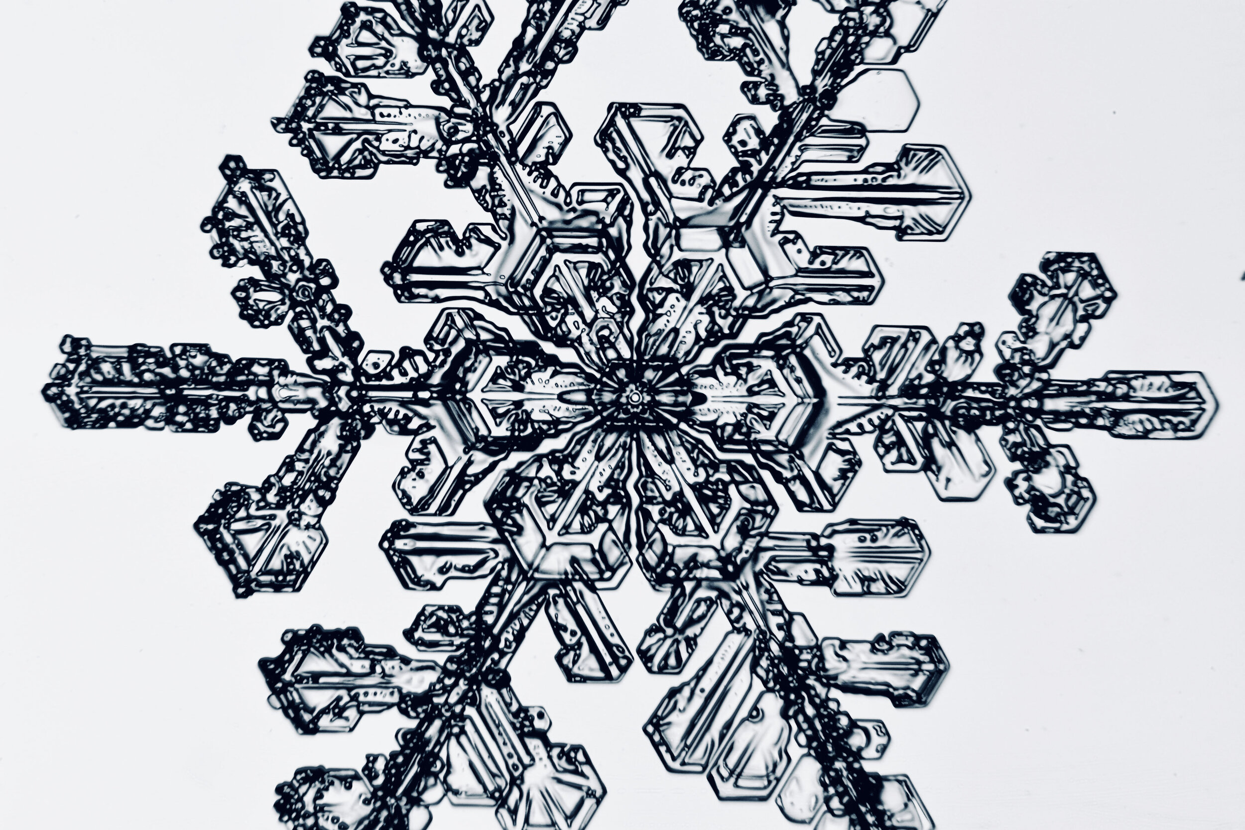 Gary-Mawe-Stellar-Crystal-Snowflake-24.jpg