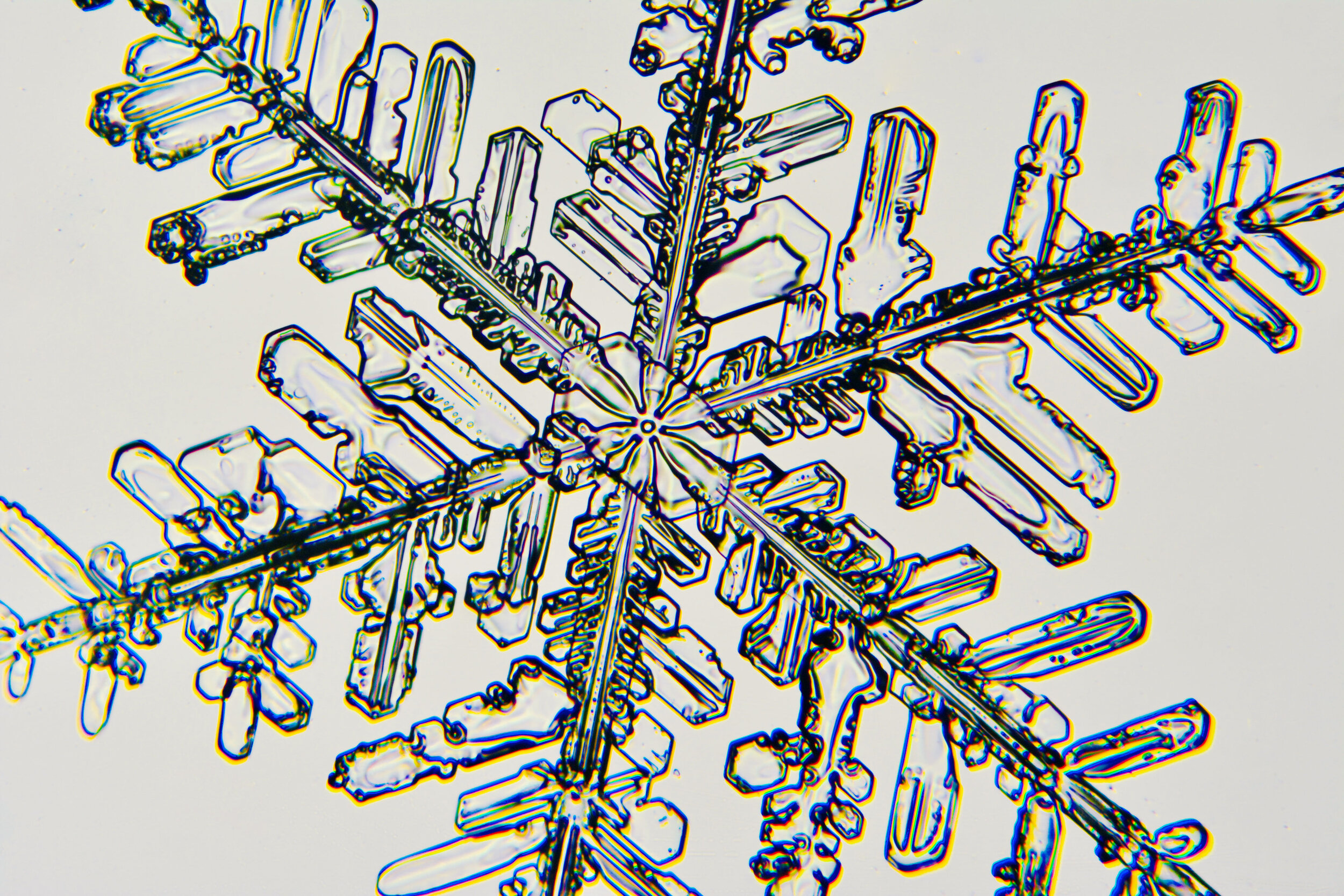 Gary-Mawe-Stellar-Crystal-Snowflake-23.jpg