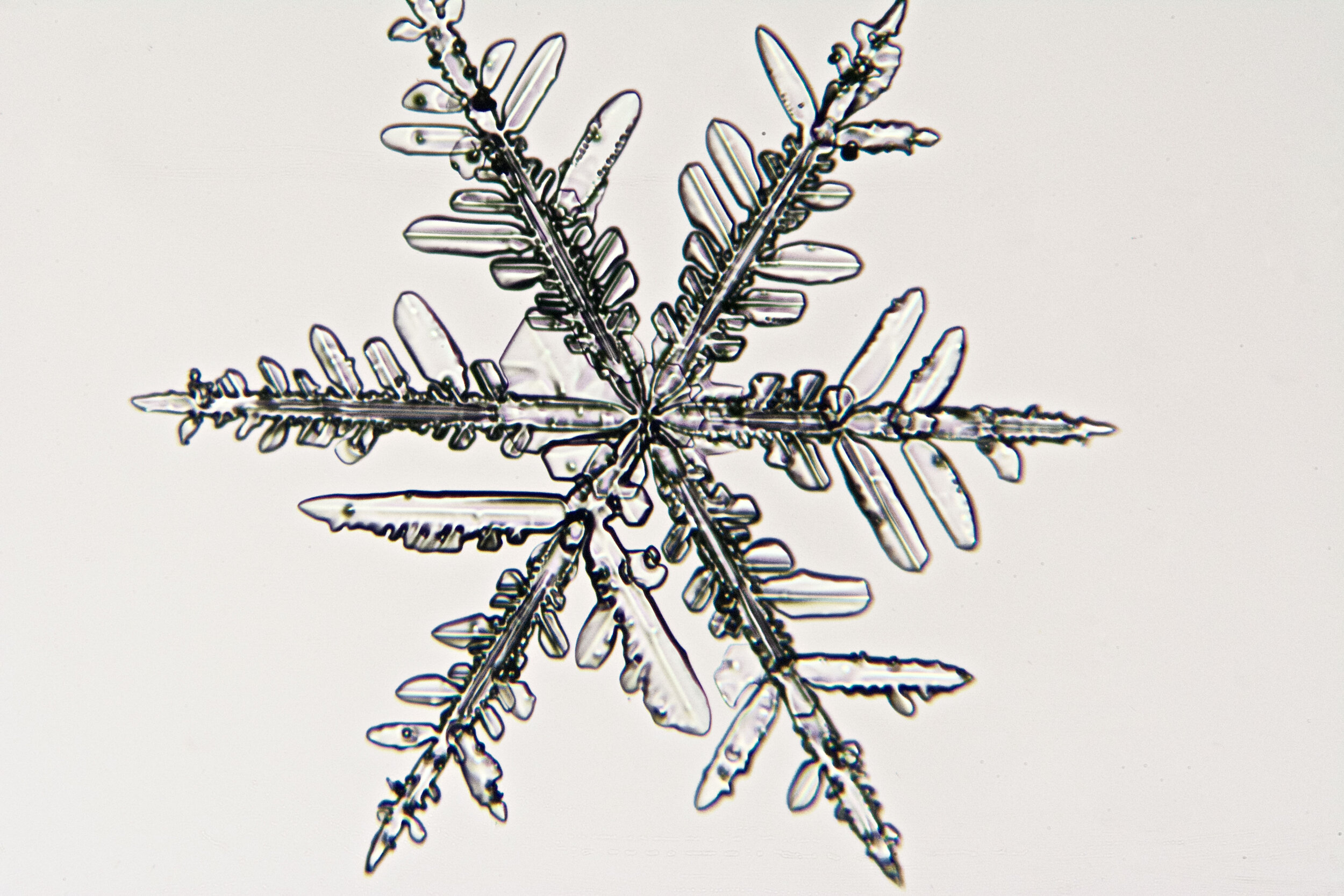 Gary-Mawe-Stellar-Crystal-Snowflake-35.jpg