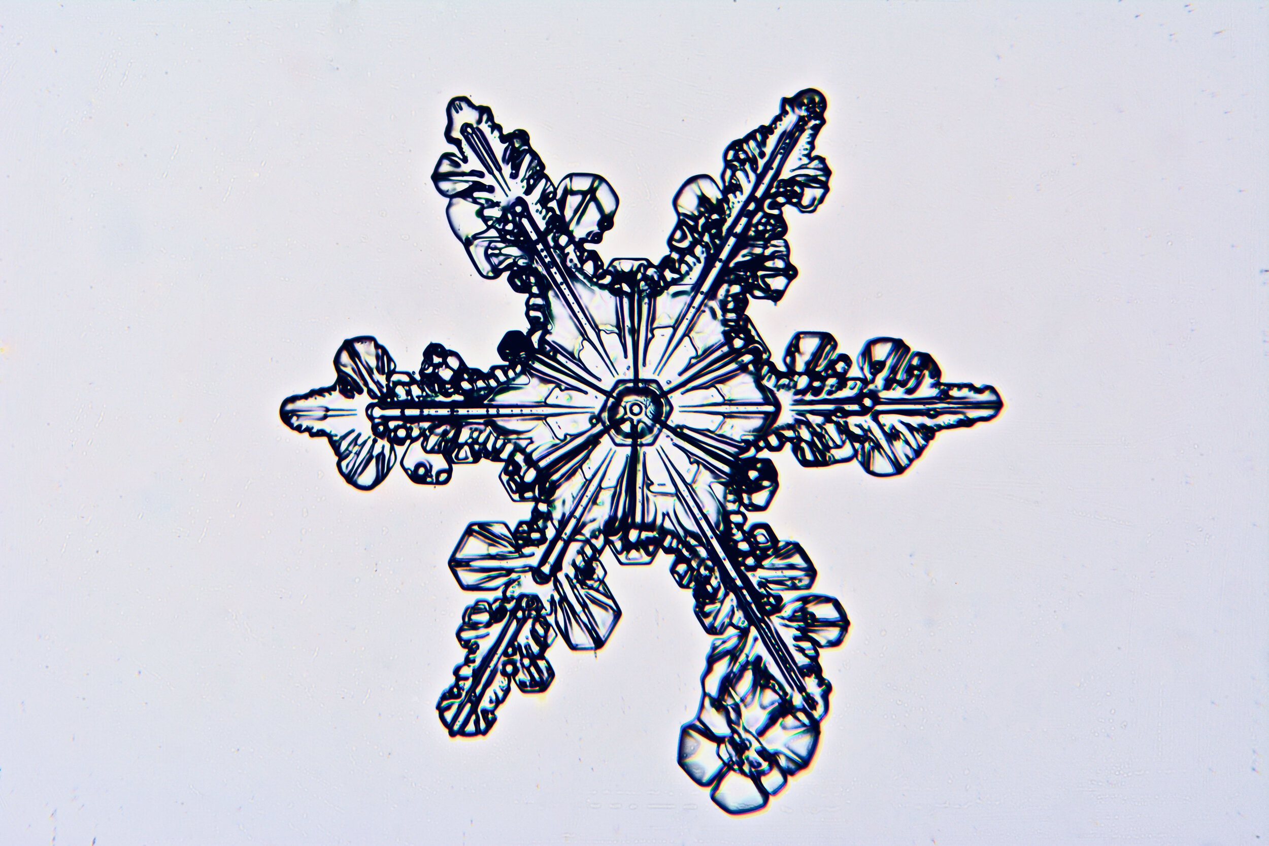 Gary-Mawe-Stellar-Crystal-Snowflake-46.jpg