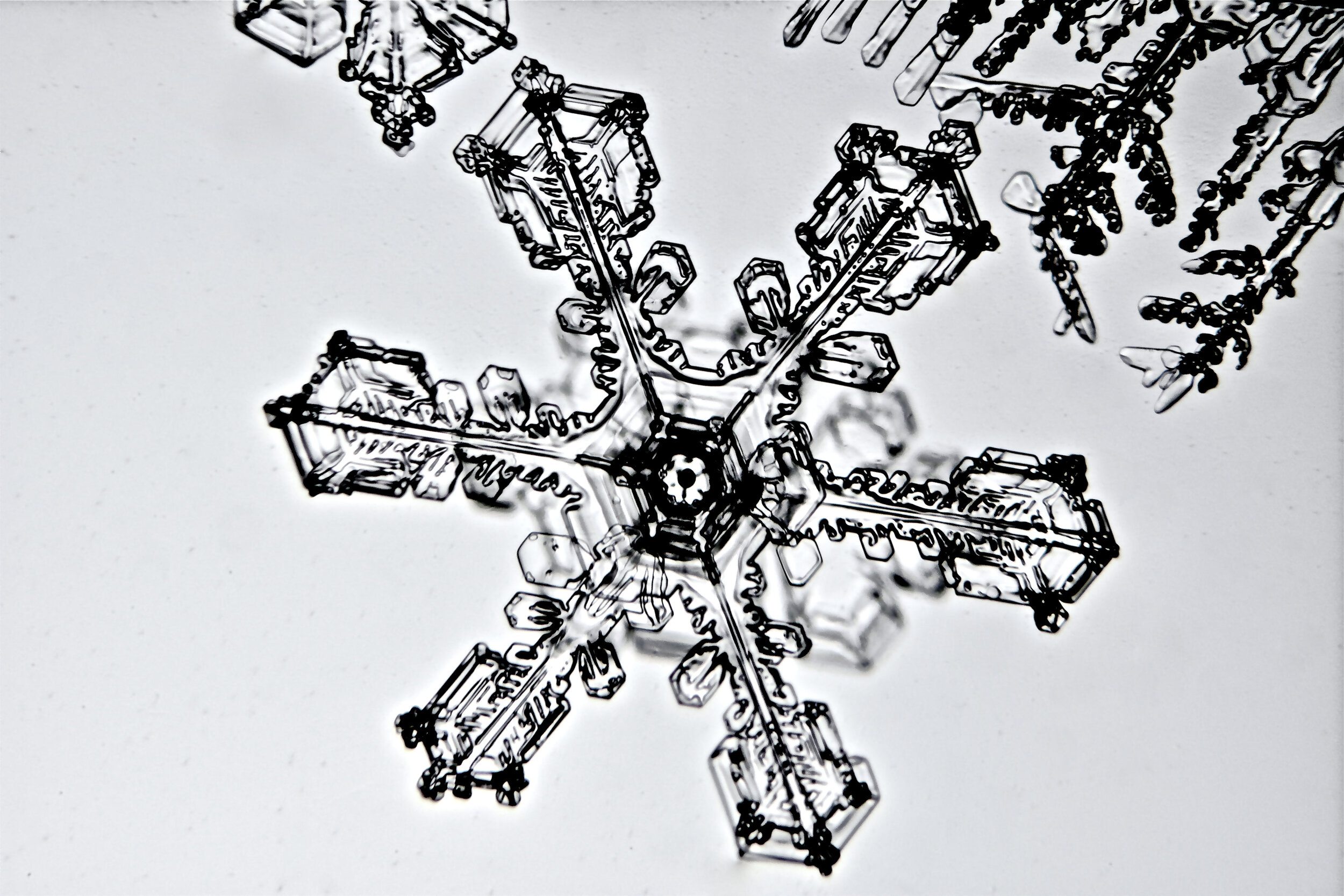 Gary-Mawe-Stellar-Crystal-Snowflake-47.jpg