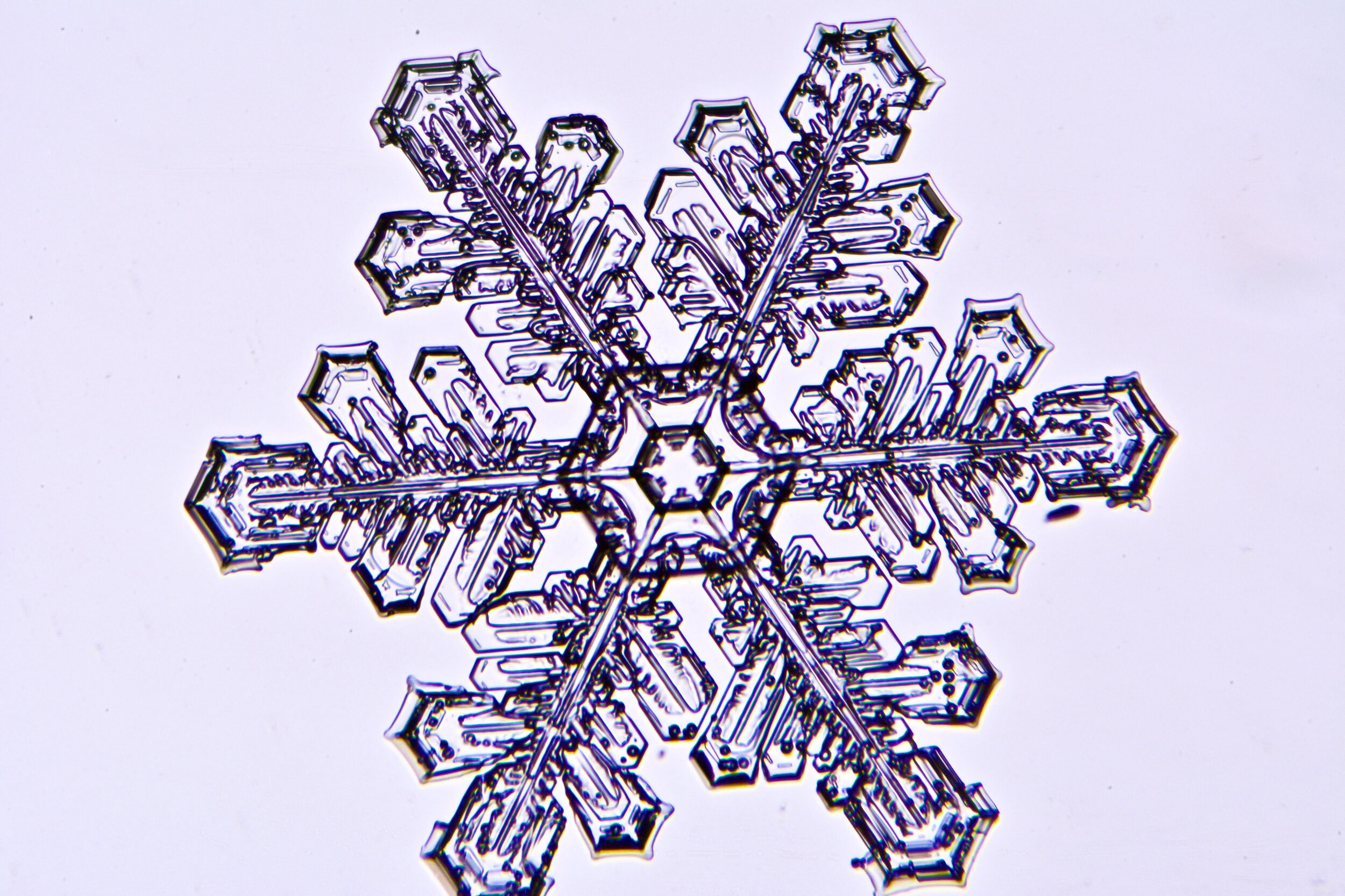 Gary-Mawe-Stellar-Crystal-Snowflake-57.jpg