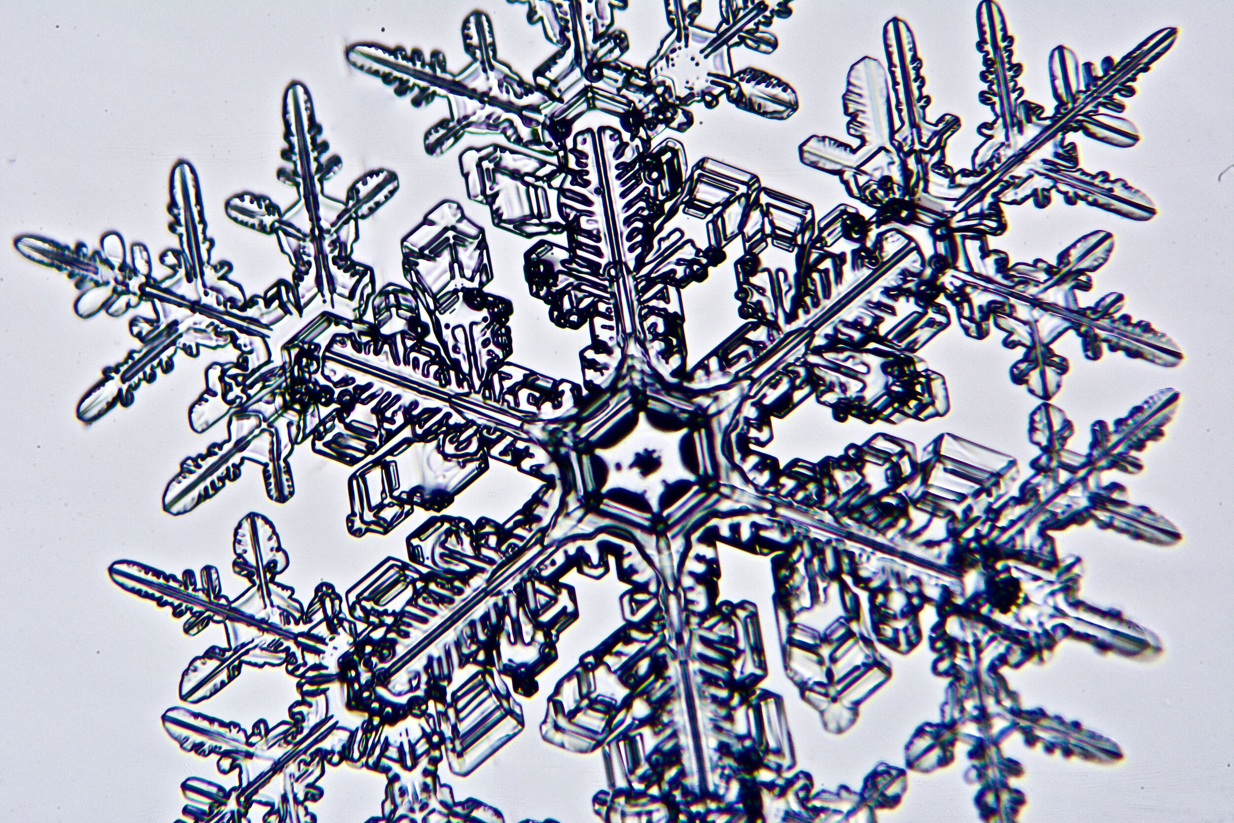 Gary-Mawe-Stellar-Crystal-Snowflake-56.jpg