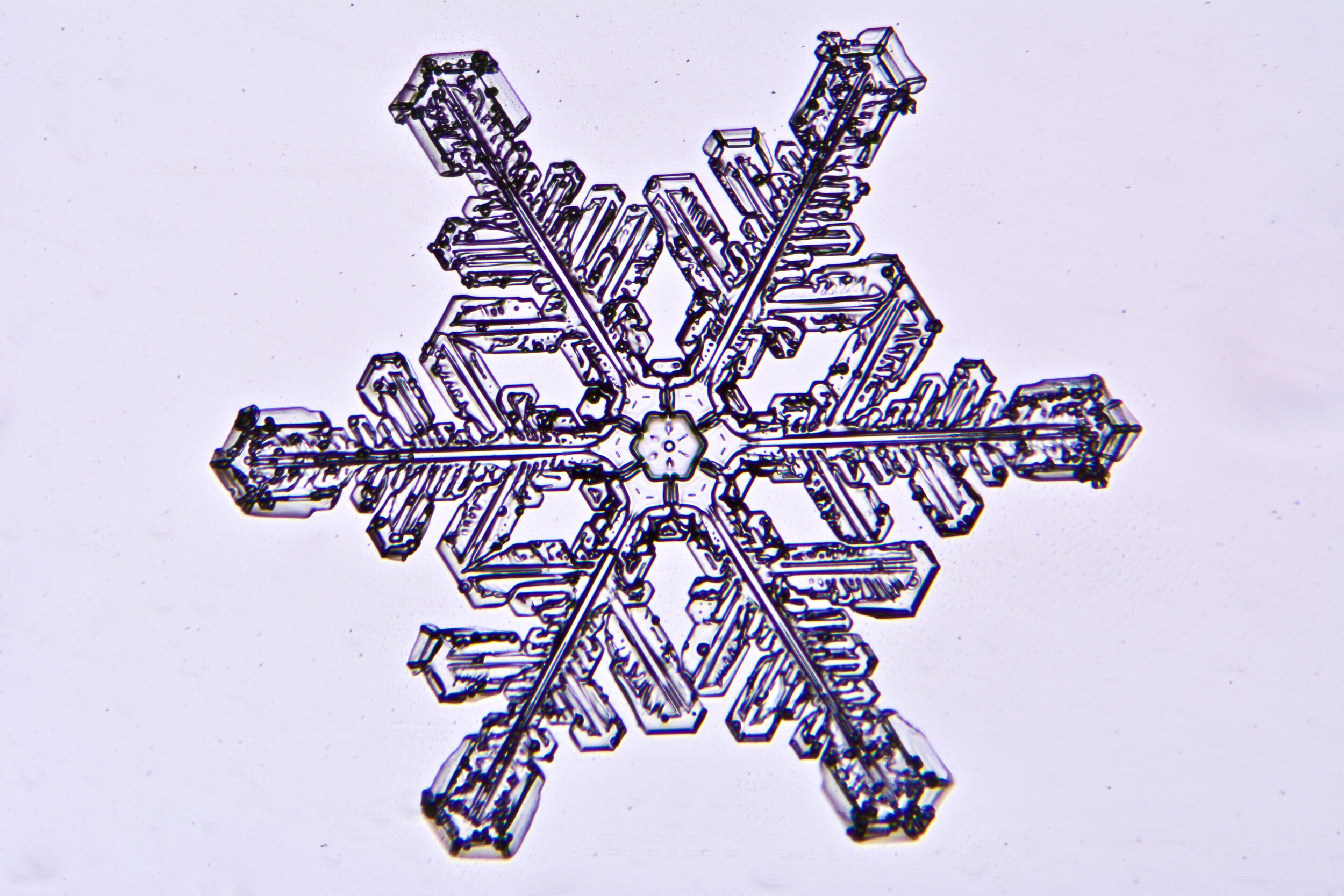 Gary-Mawe-Stellar-Crystal-Snowflake-58.jpg