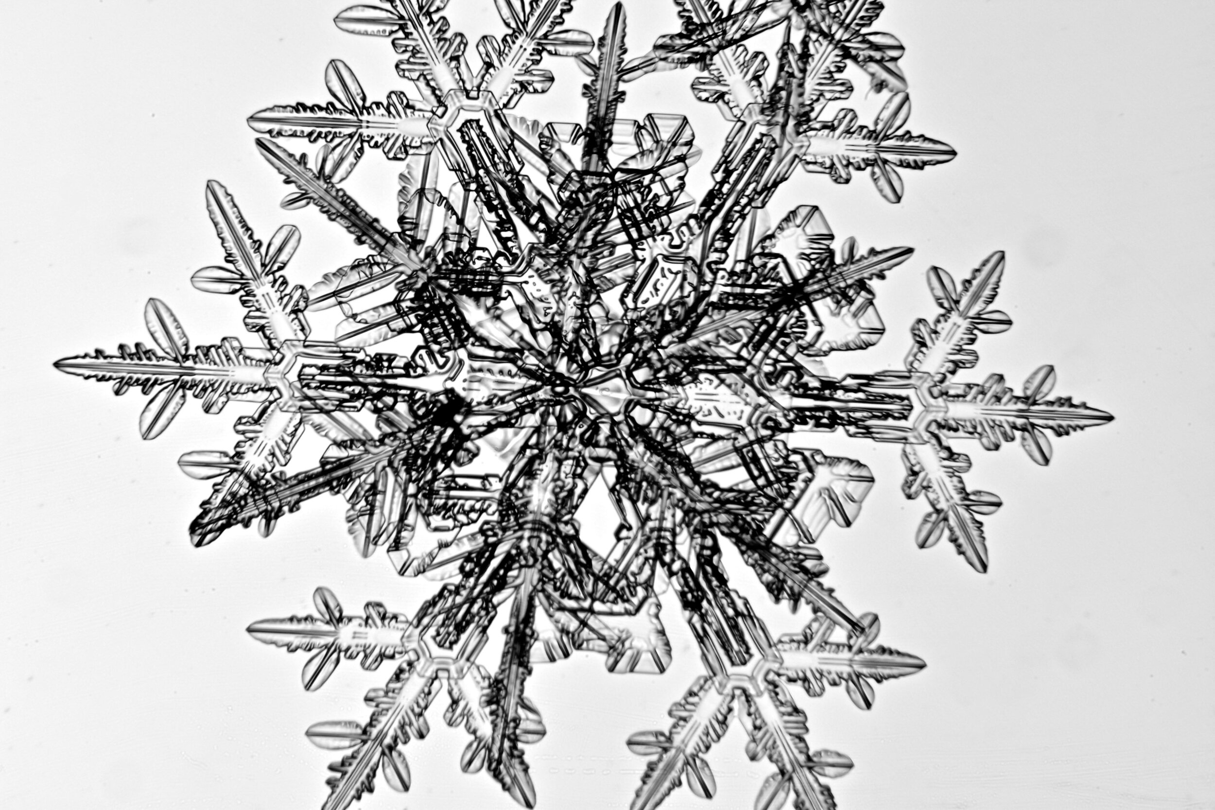 Gary-Mawe-Stellar-Crystal-Snowflake-11.jpg
