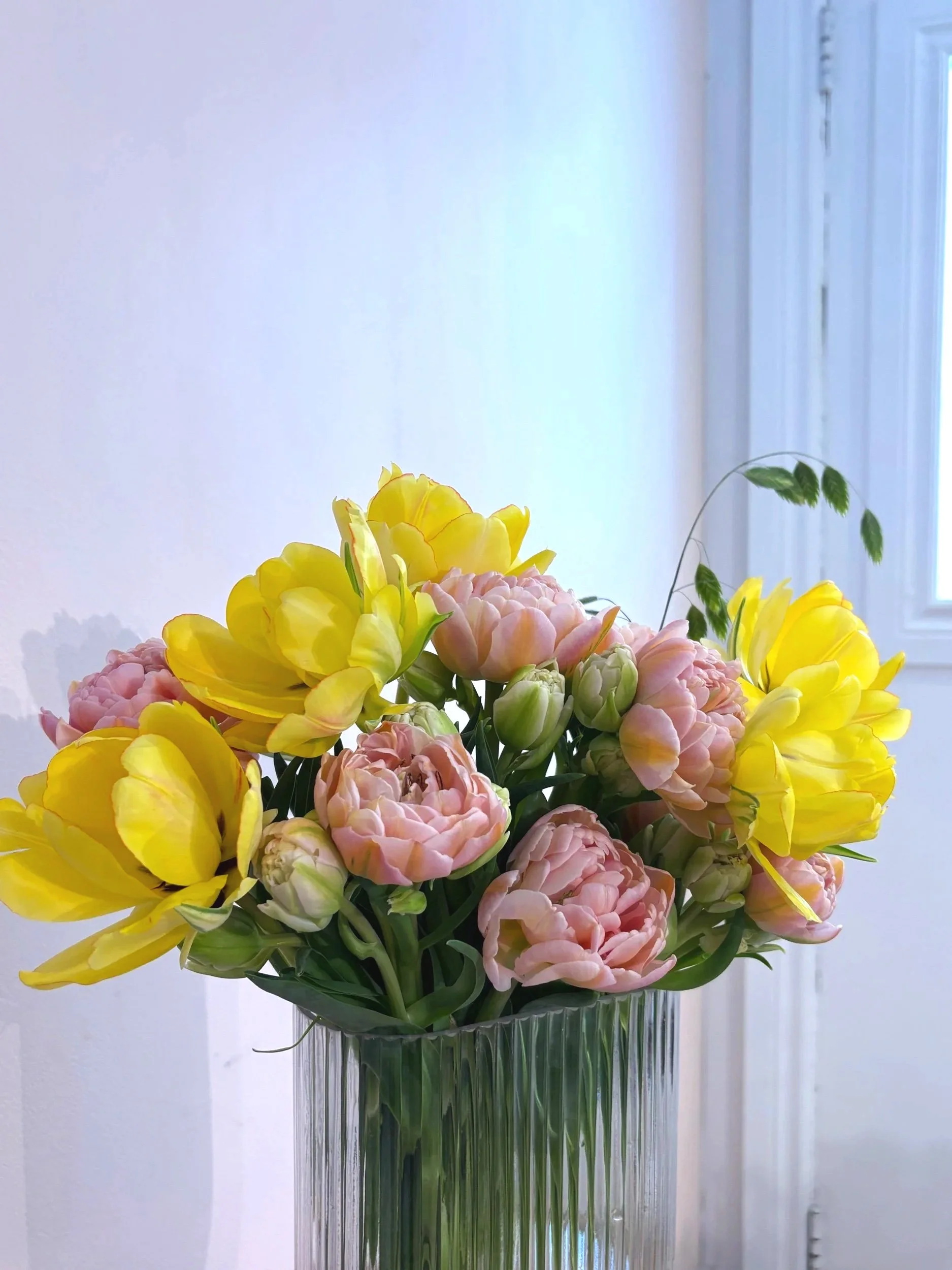 Pink & Yellow Mixed Québec Tulips