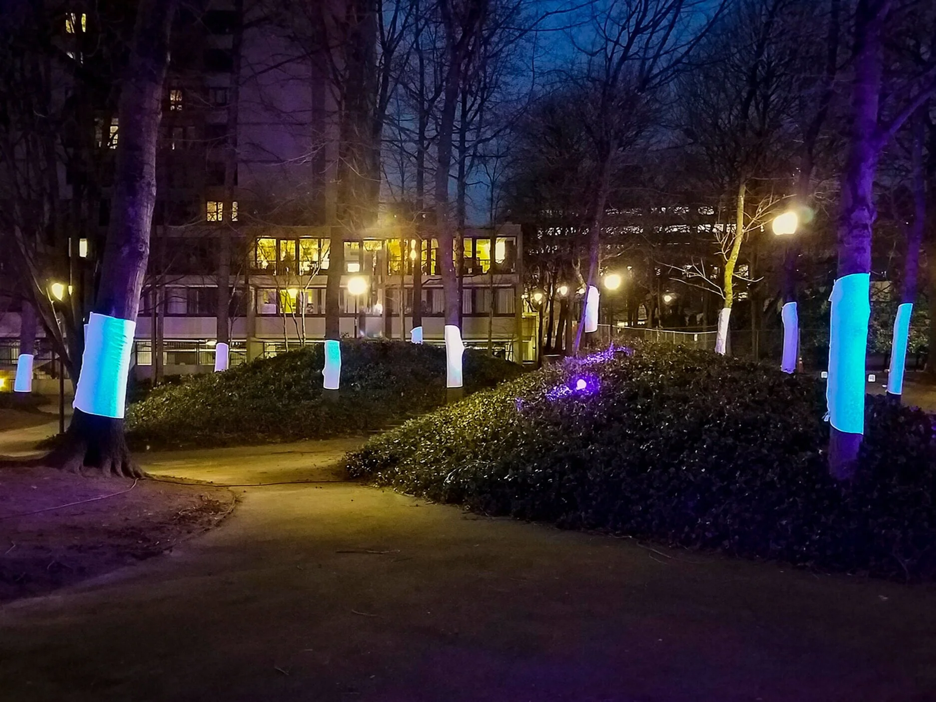 SEQUENCE LIGHTS UP FOR PWLF