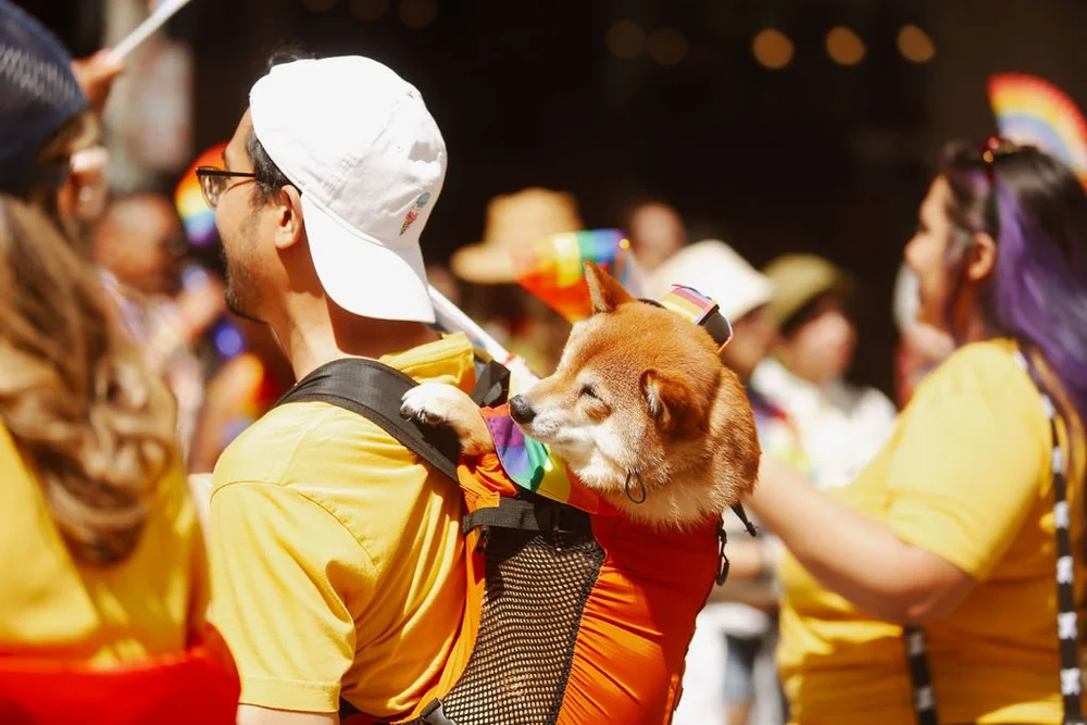 MCDWWPRIDE2024-77.jpg