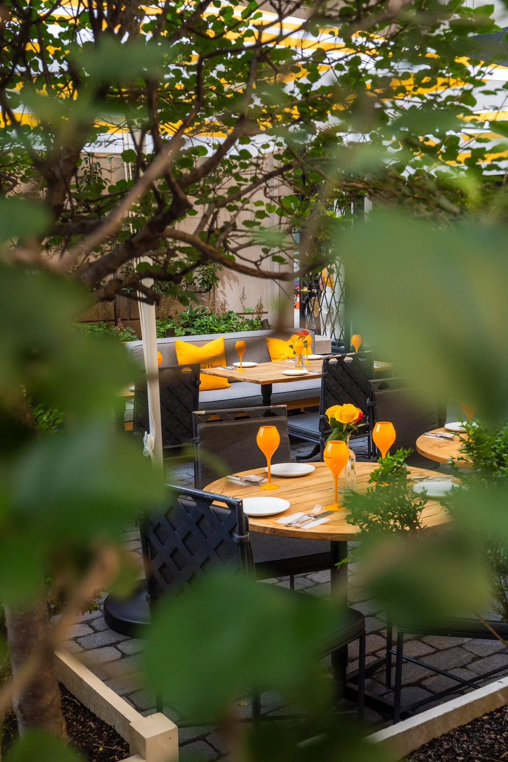 Clicquot Courtyard14.jpg