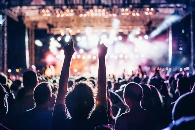 Music Festival Survival Guide