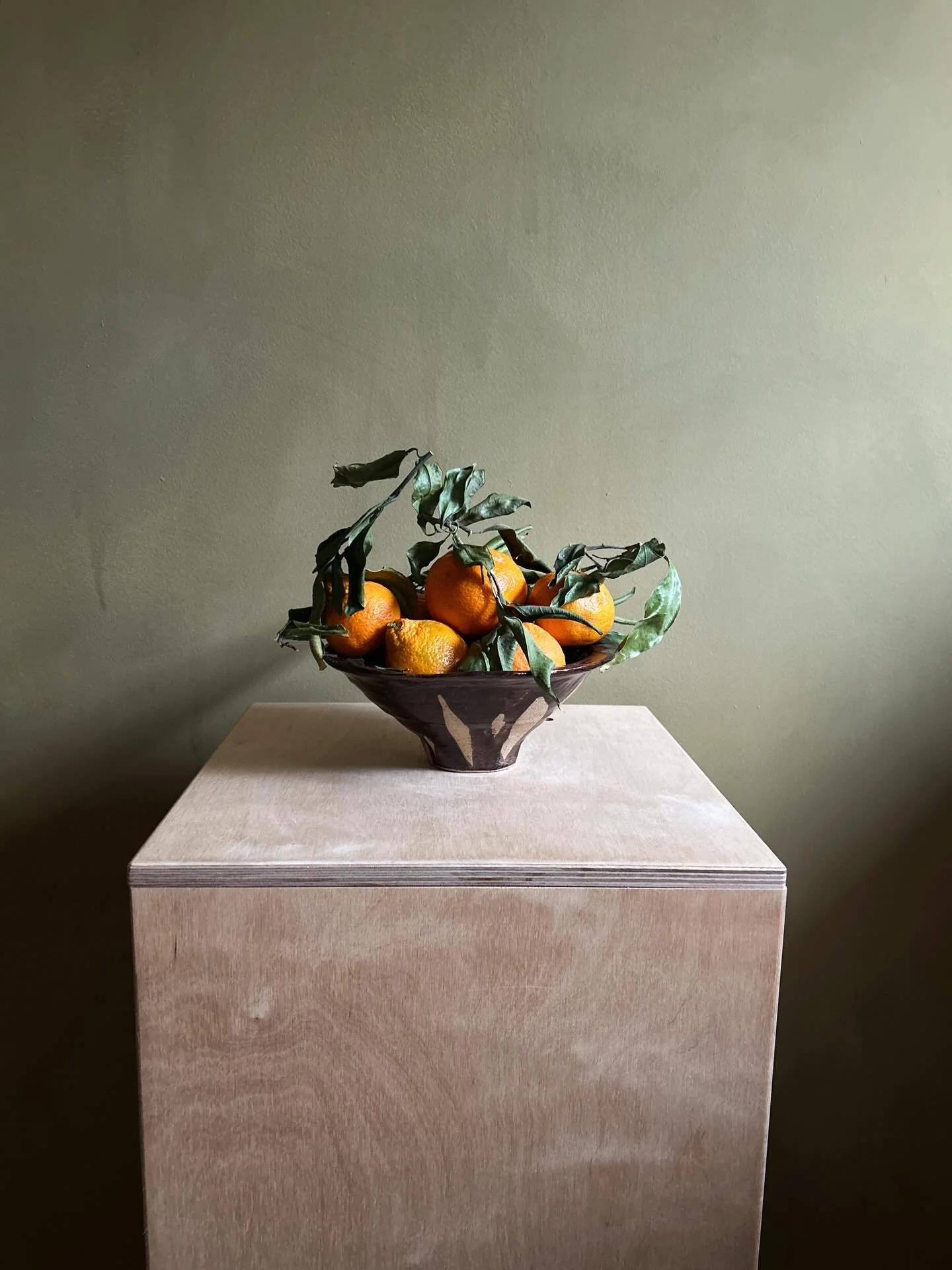 Cutie filled with cuties 🧡