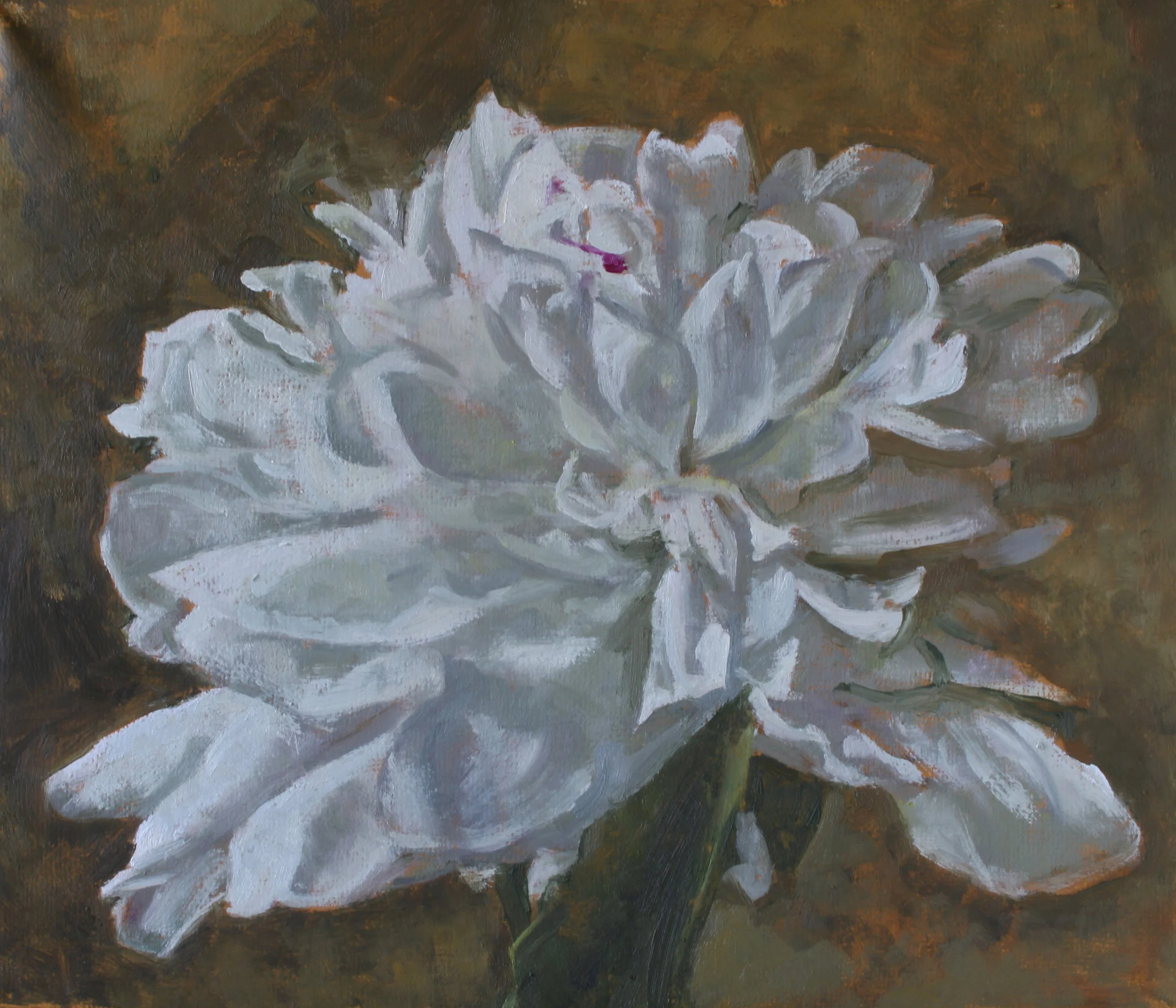 Silkepion 2022-06-27.jpg